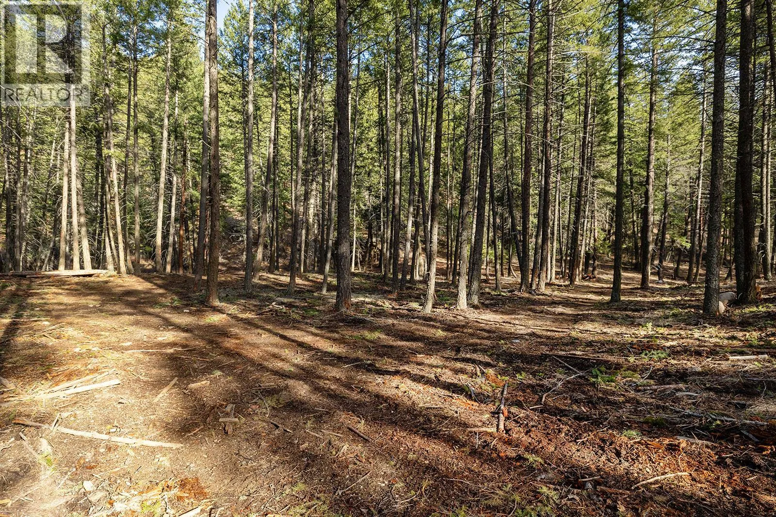 Lot A Trepanier Road