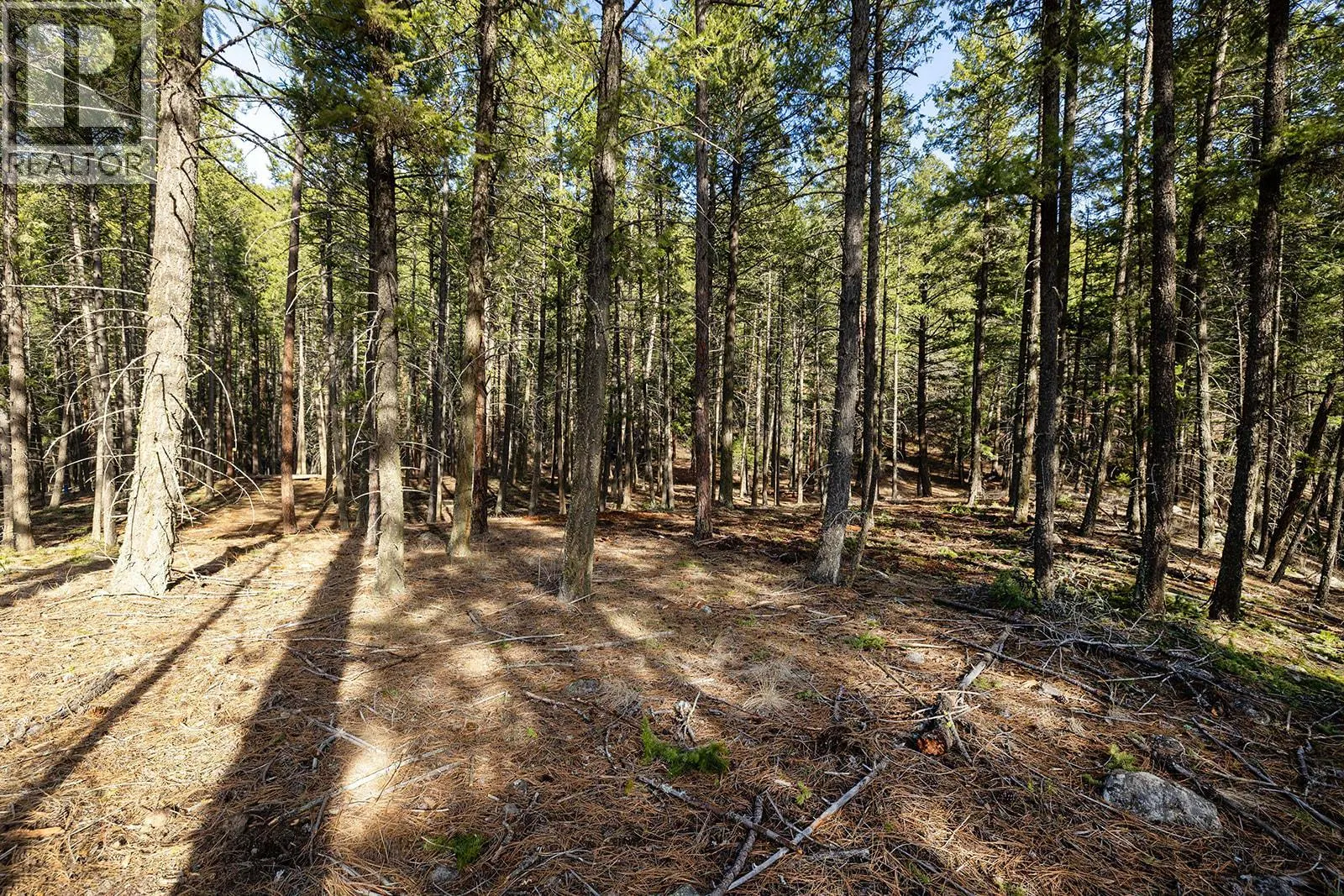 Lot A Trepanier Road