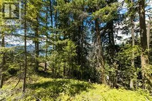 McBride Road Lot# 23