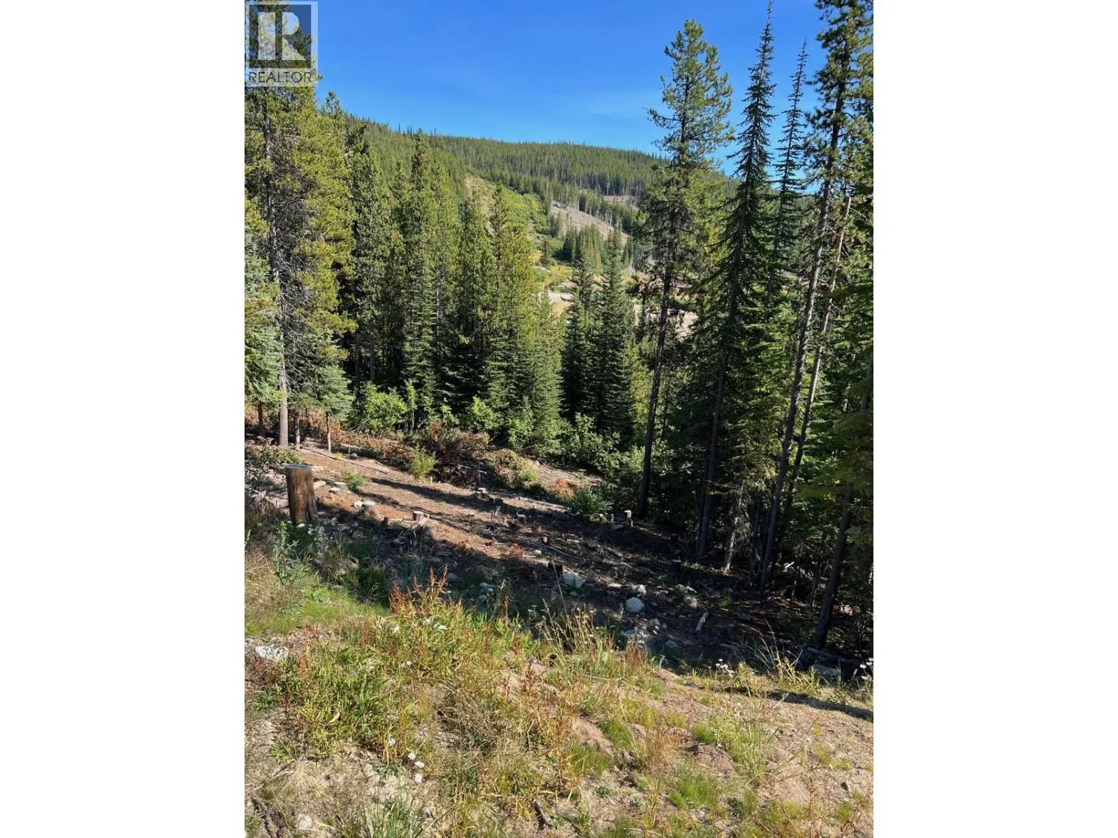 Lot 122 WAPITI CREEK Road