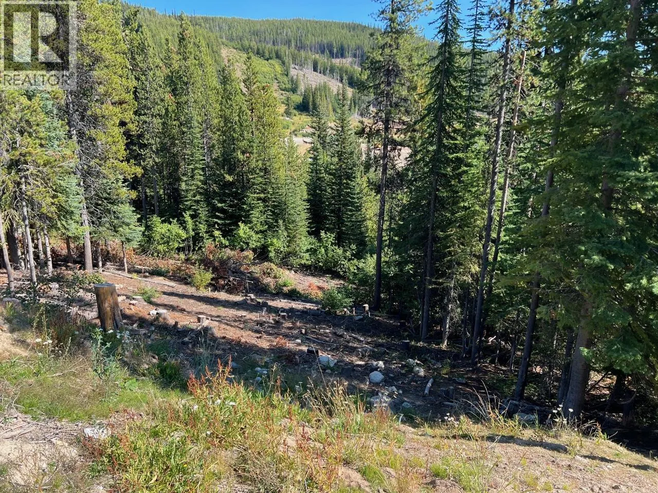 Lot 122 WAPITI CREEK Road