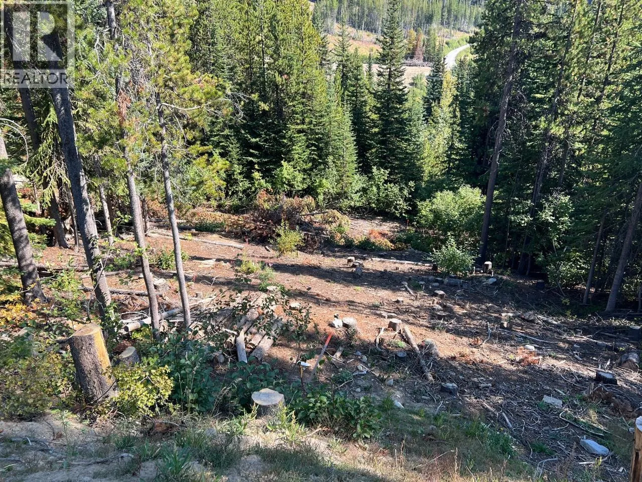 Lot 122 WAPITI CREEK Road