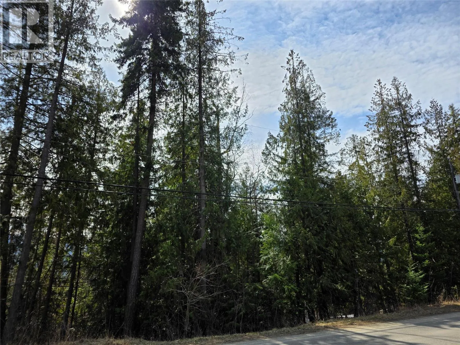 7502 Estate Drive