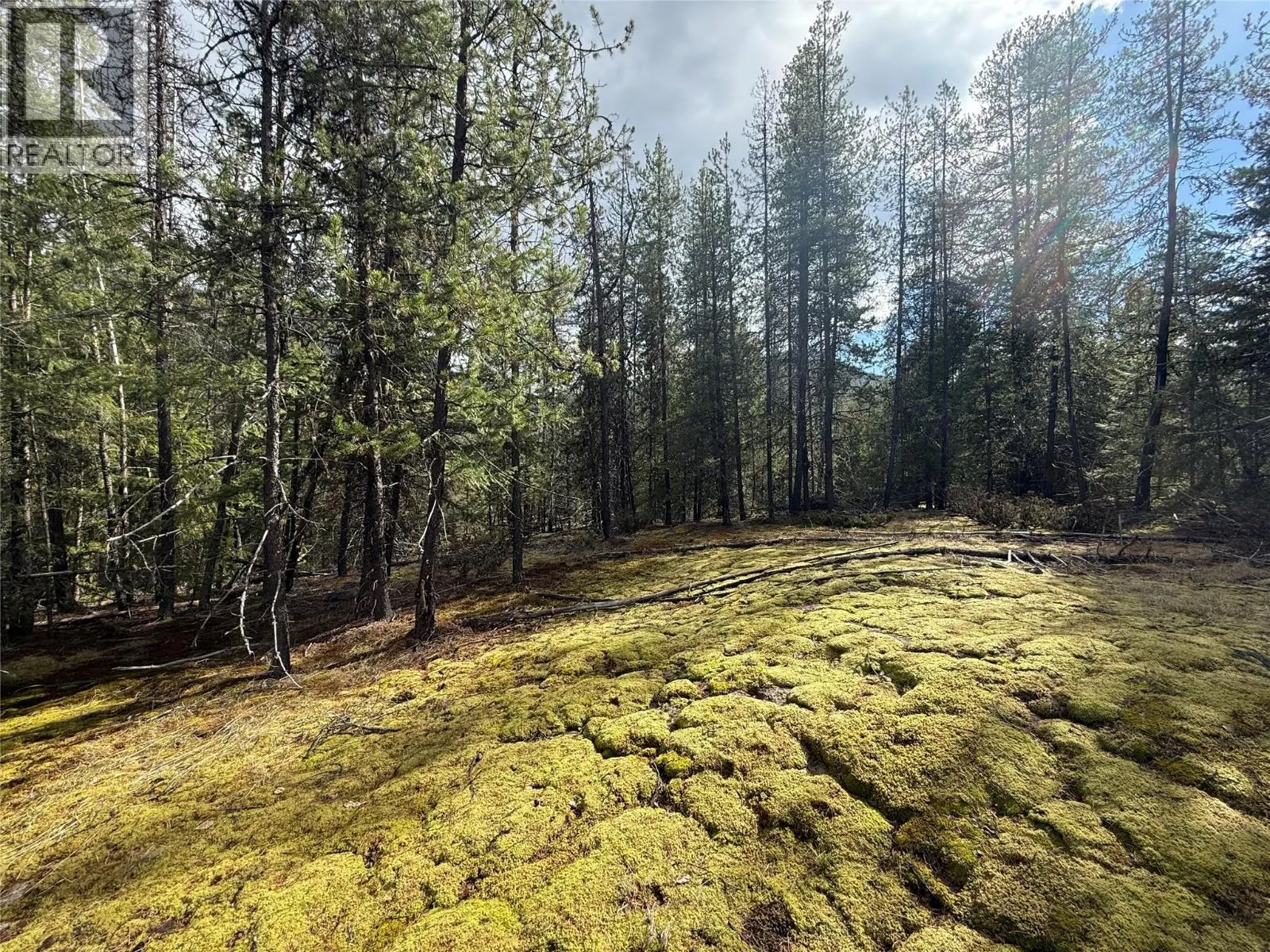 Lot 34 PASS CREEK Road