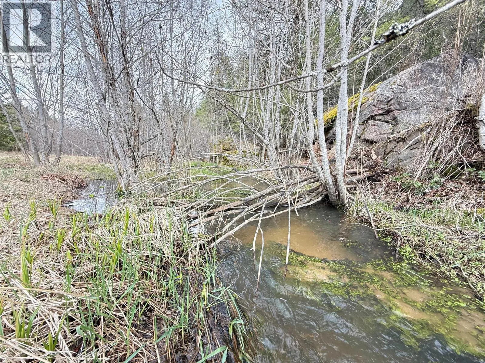 Lot 34 PASS CREEK Road