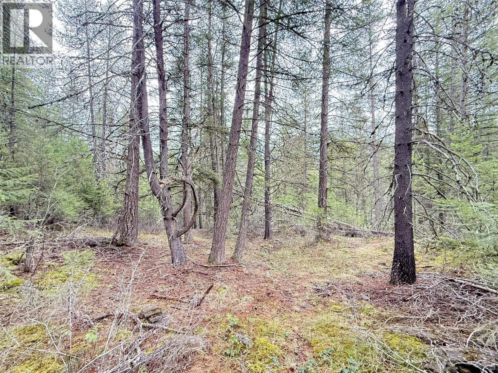 Lot 34 PASS CREEK Road