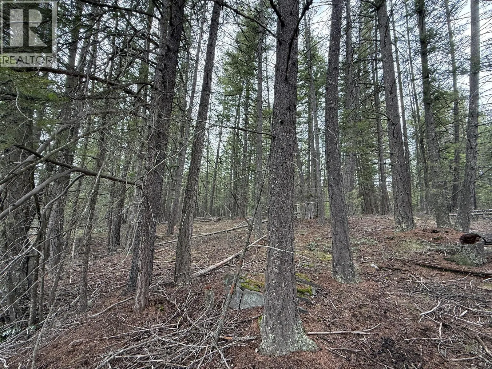 Lot 34 PASS CREEK Road
