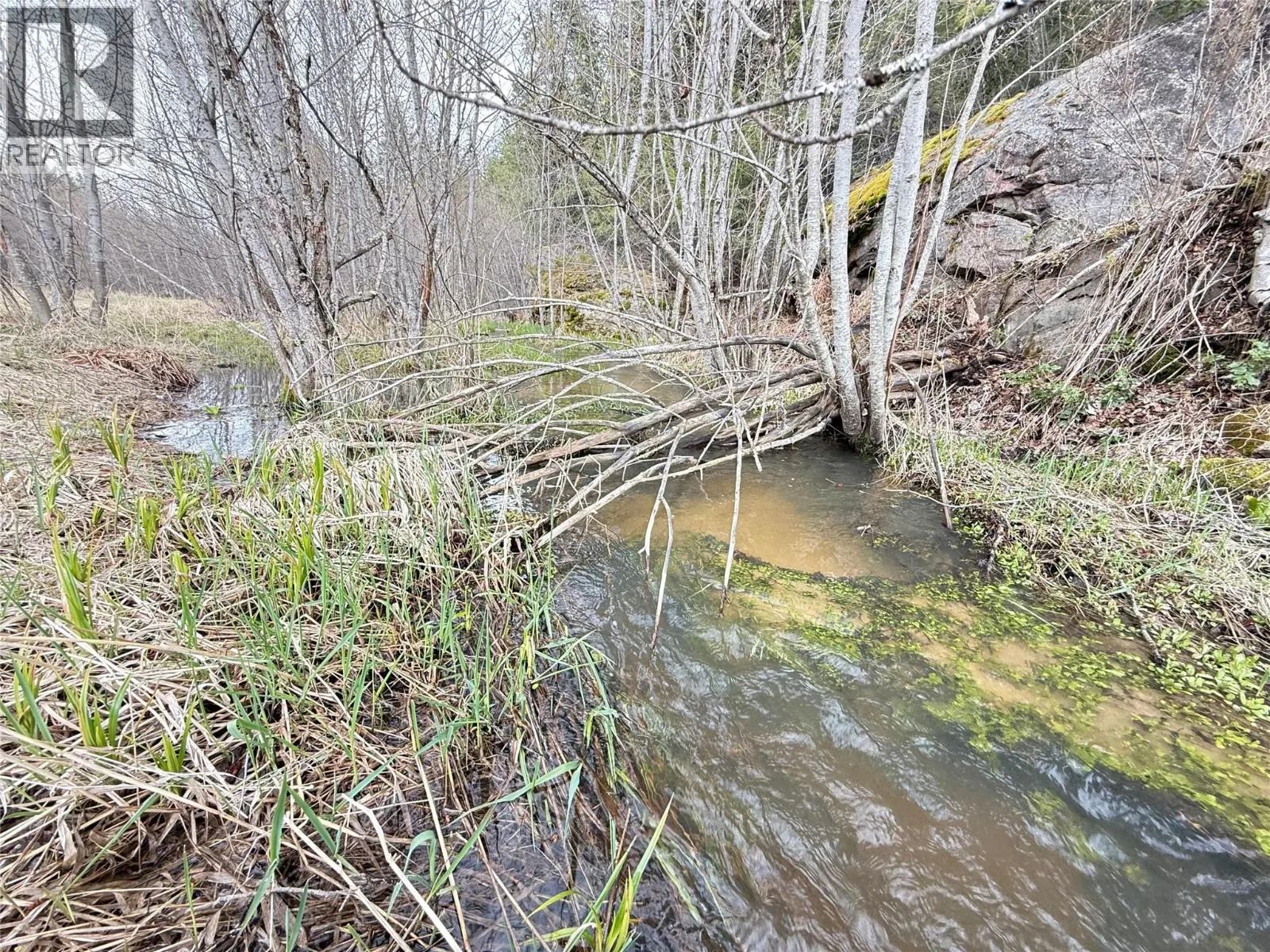 Lot 34 PASS CREEK Road