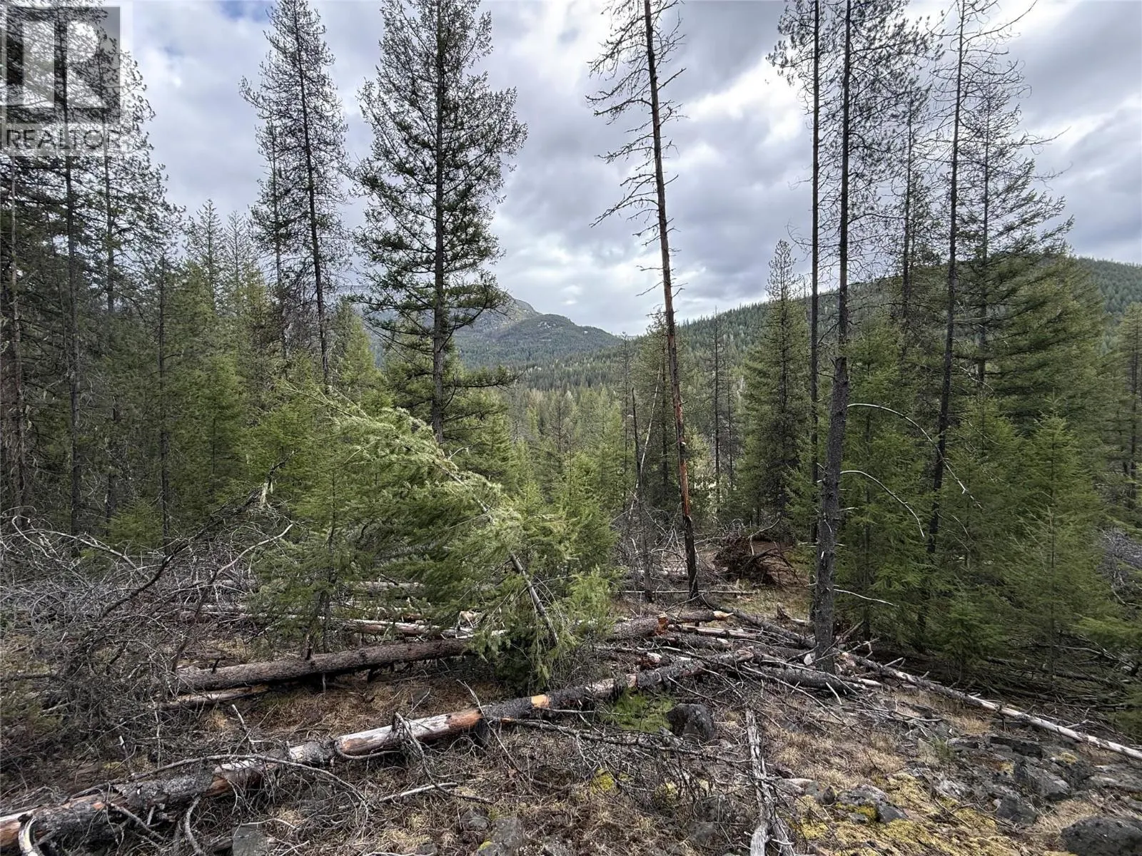 Lot 34 PASS CREEK Road