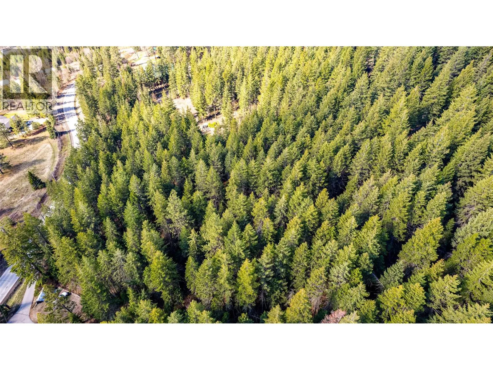 8031 Silver Star Road