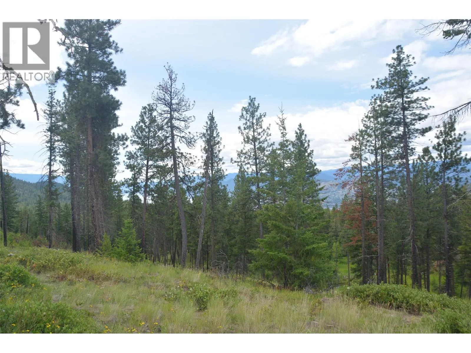 7080 Glenfir Road Unit# 17