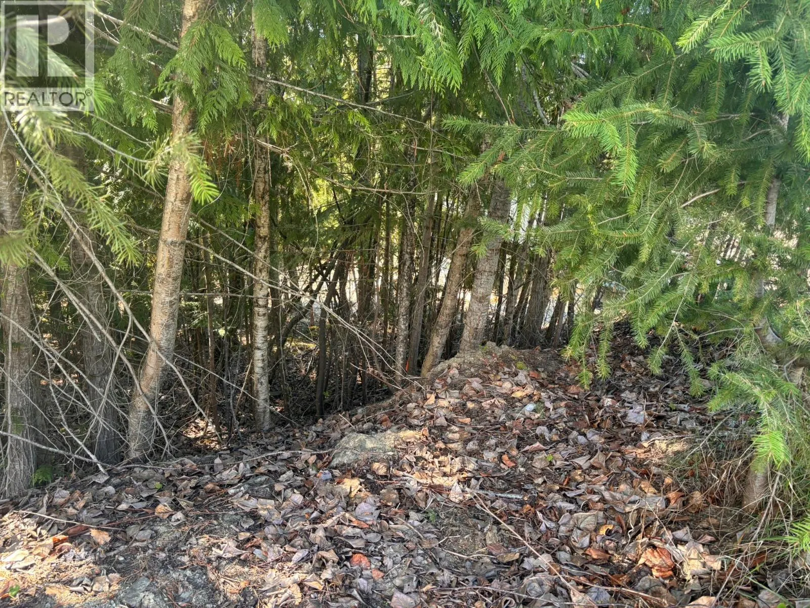 Lot 8 Stampede Trail