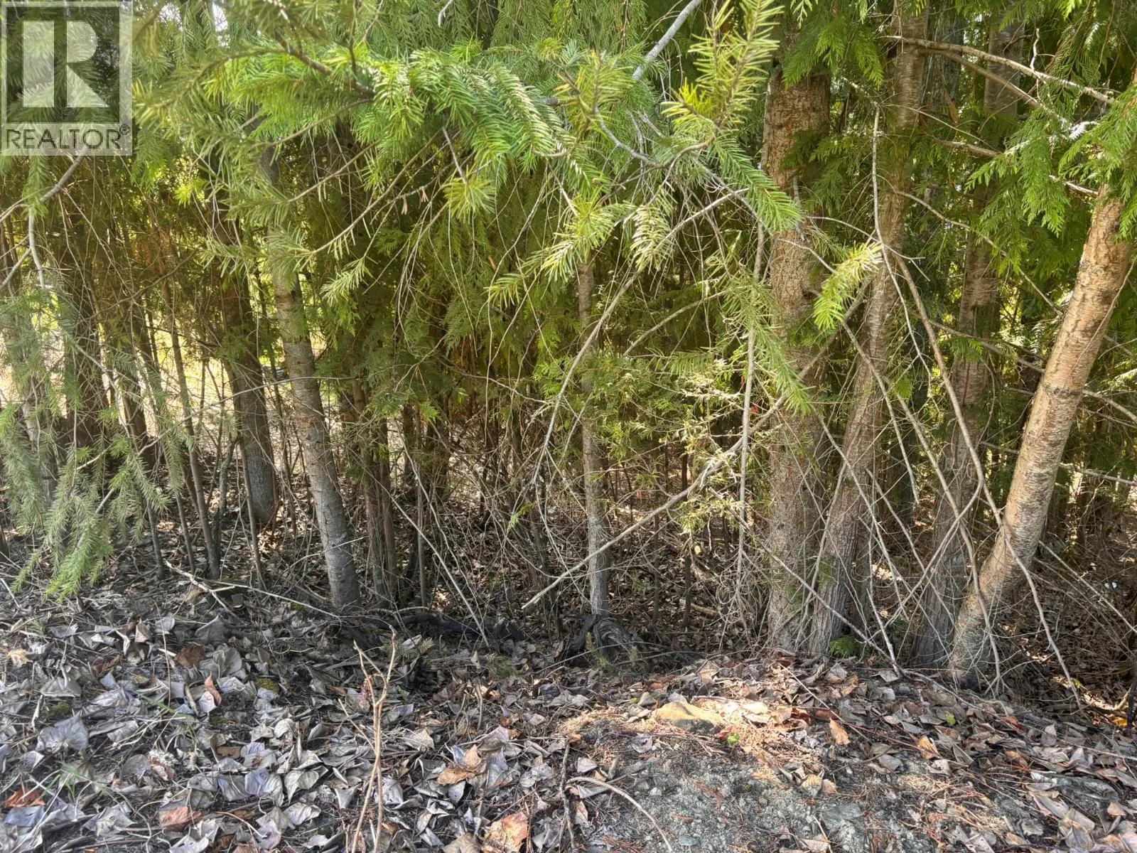 Lot 8 Stampede Trail