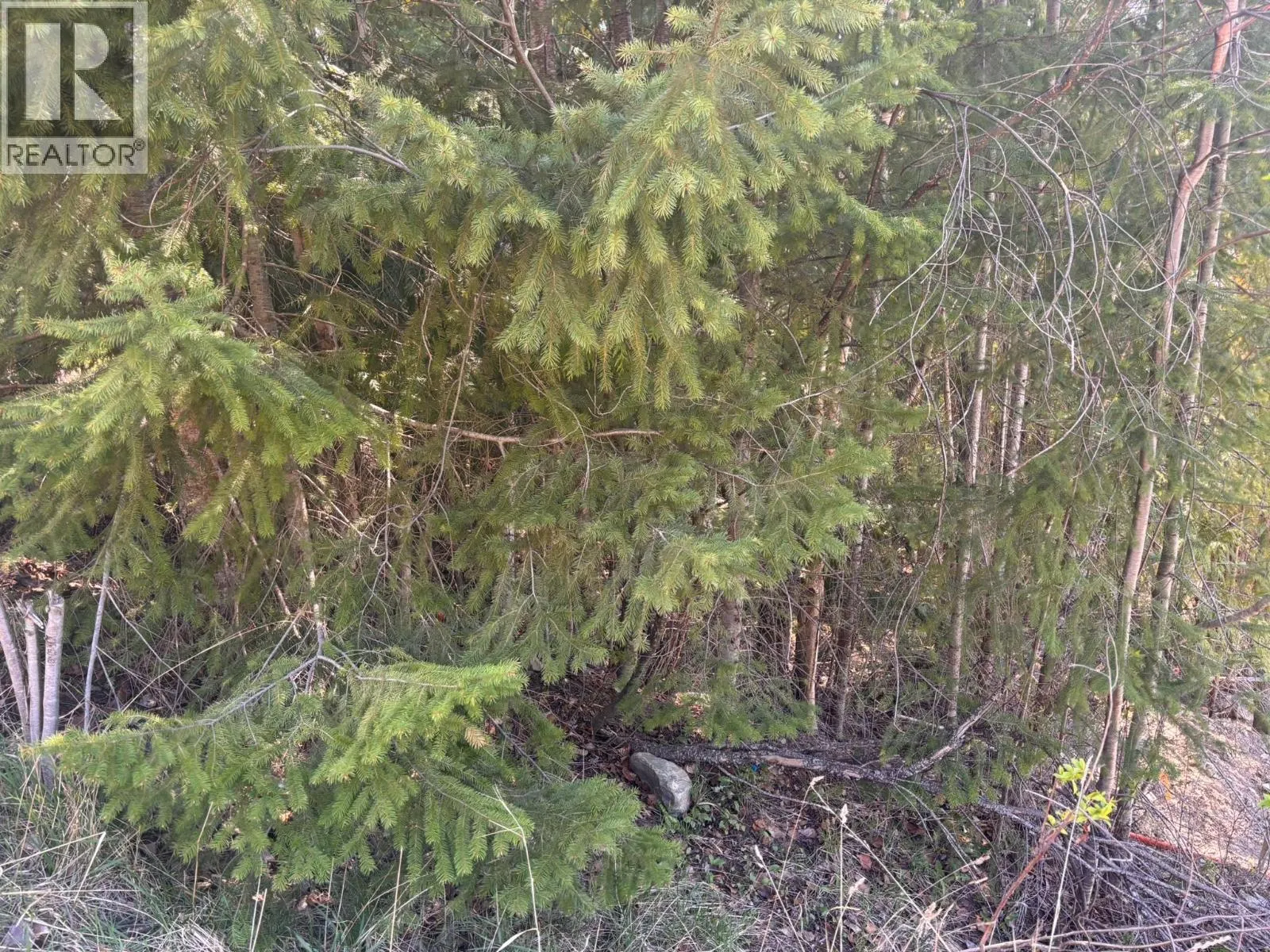 Lot 8 Stampede Trail