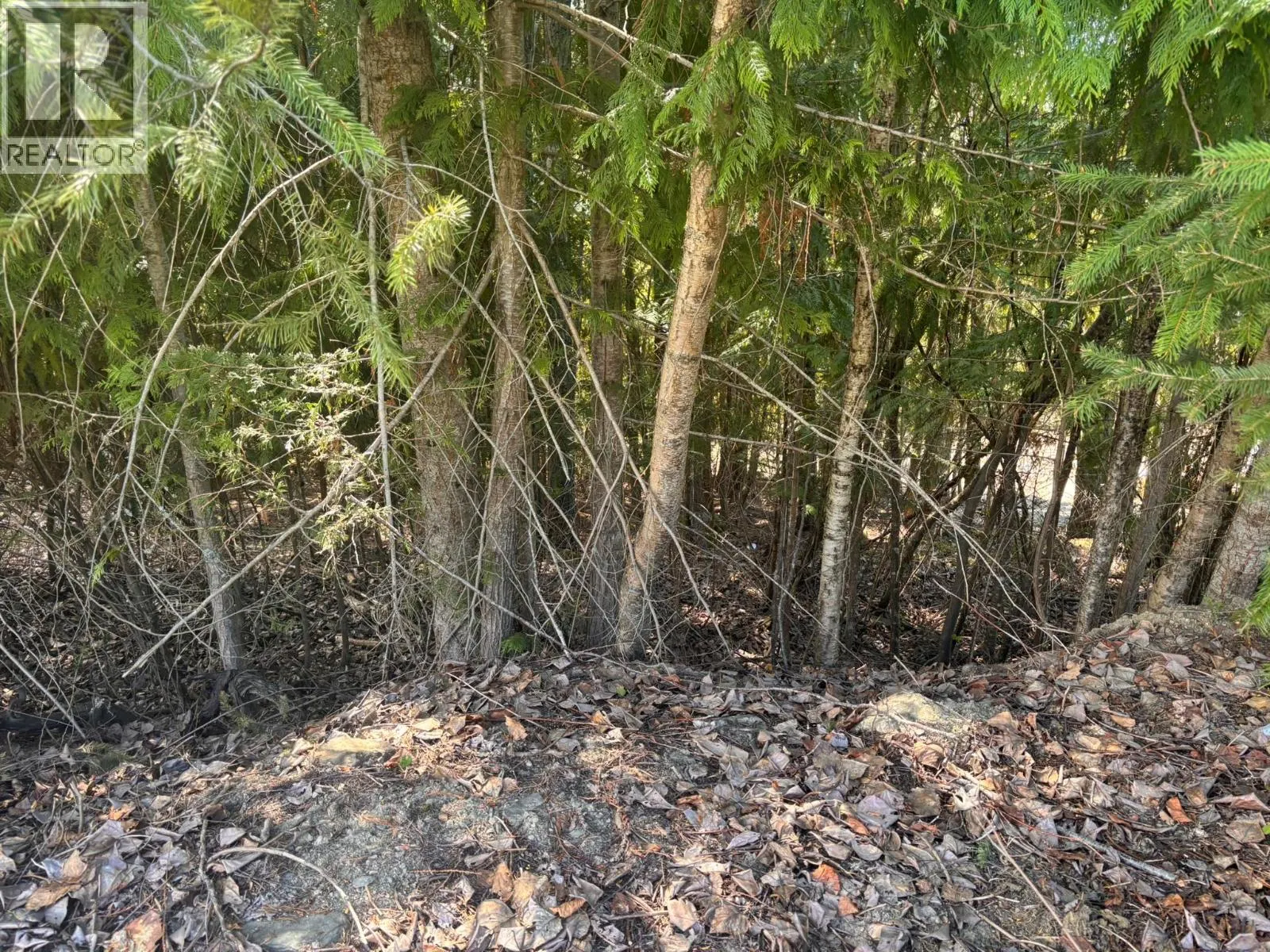 Lot 8 Stampede Trail