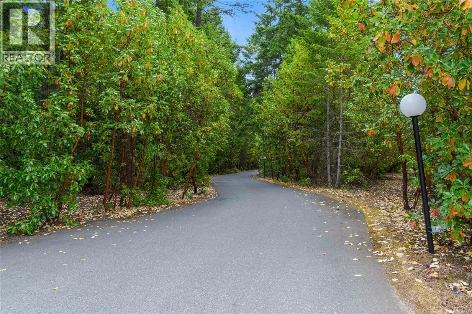 33 1165 Resort Dr