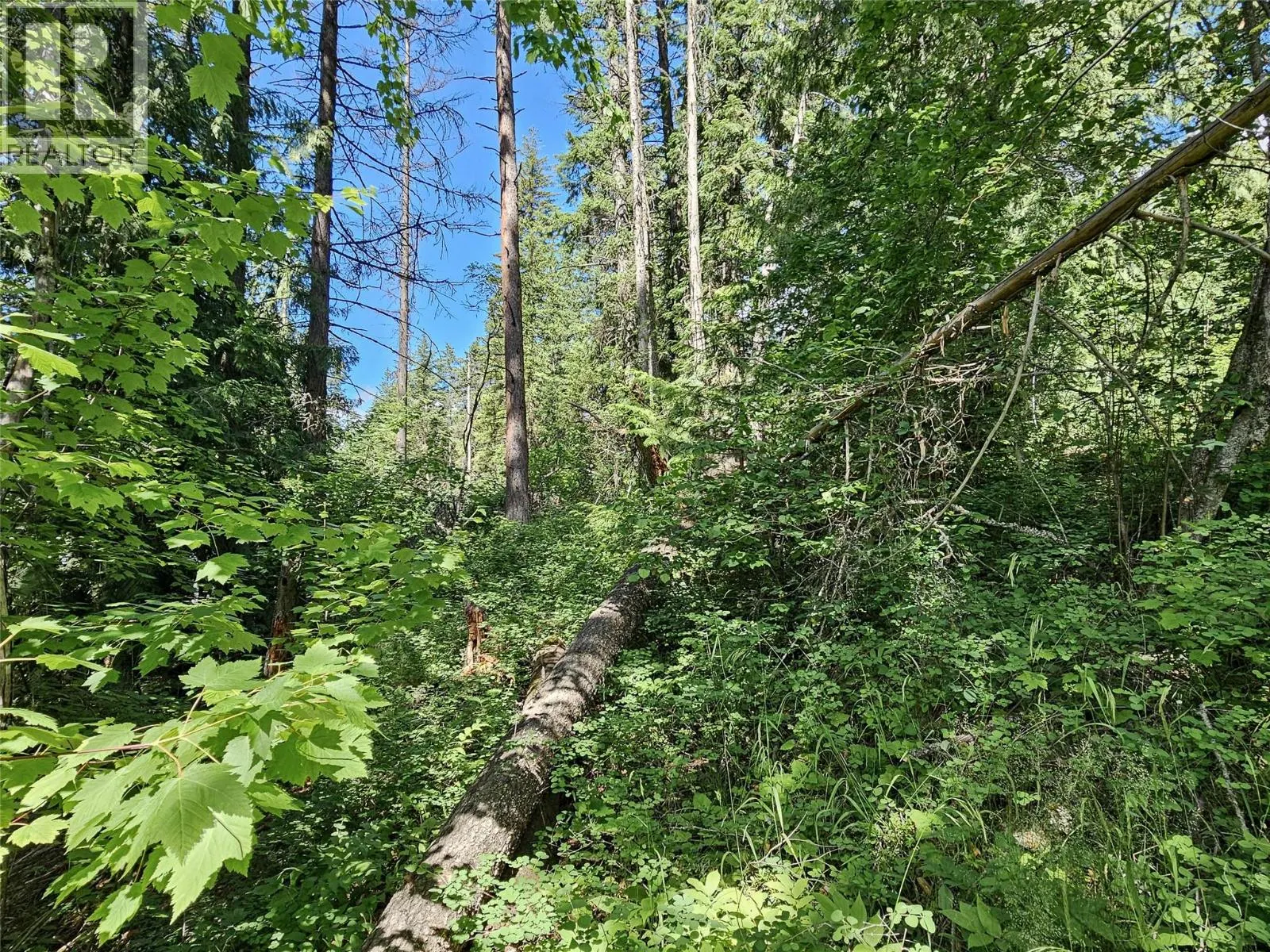 Lot 1 LONGBEACH Road