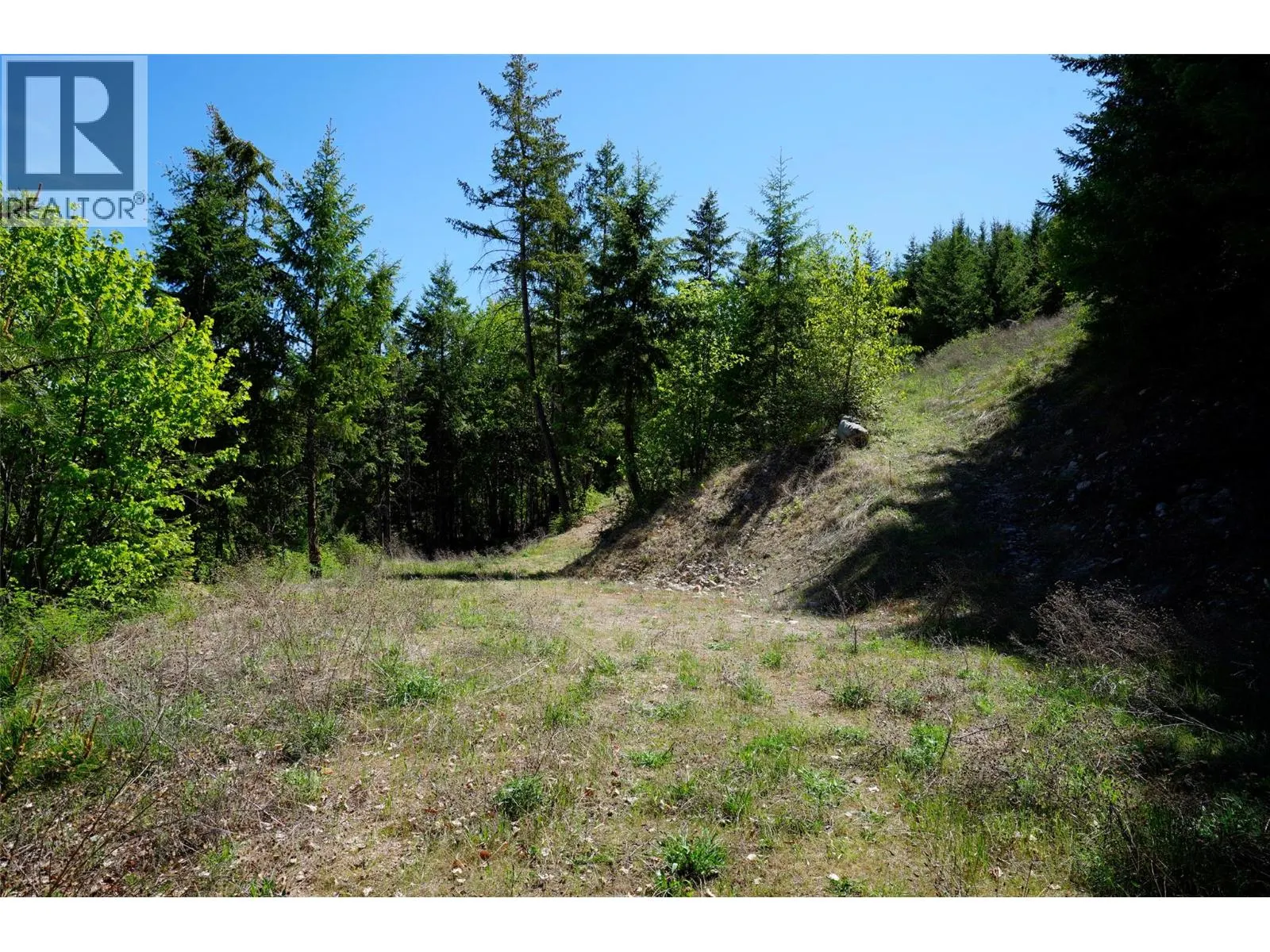 Lot 12 Lower Arrow Lake Road