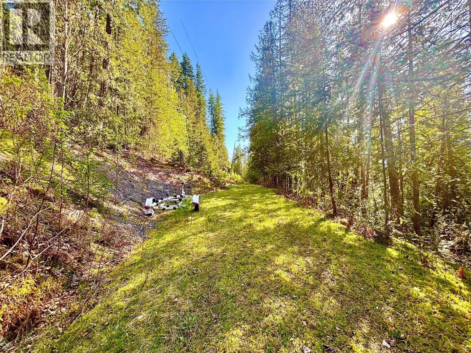 3614 Lumby Mabel Lake Road