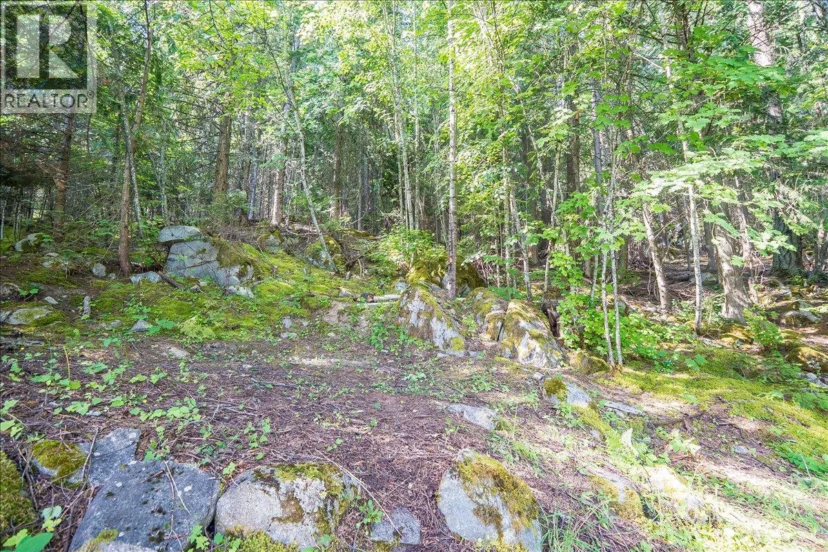 1835 Granite Road