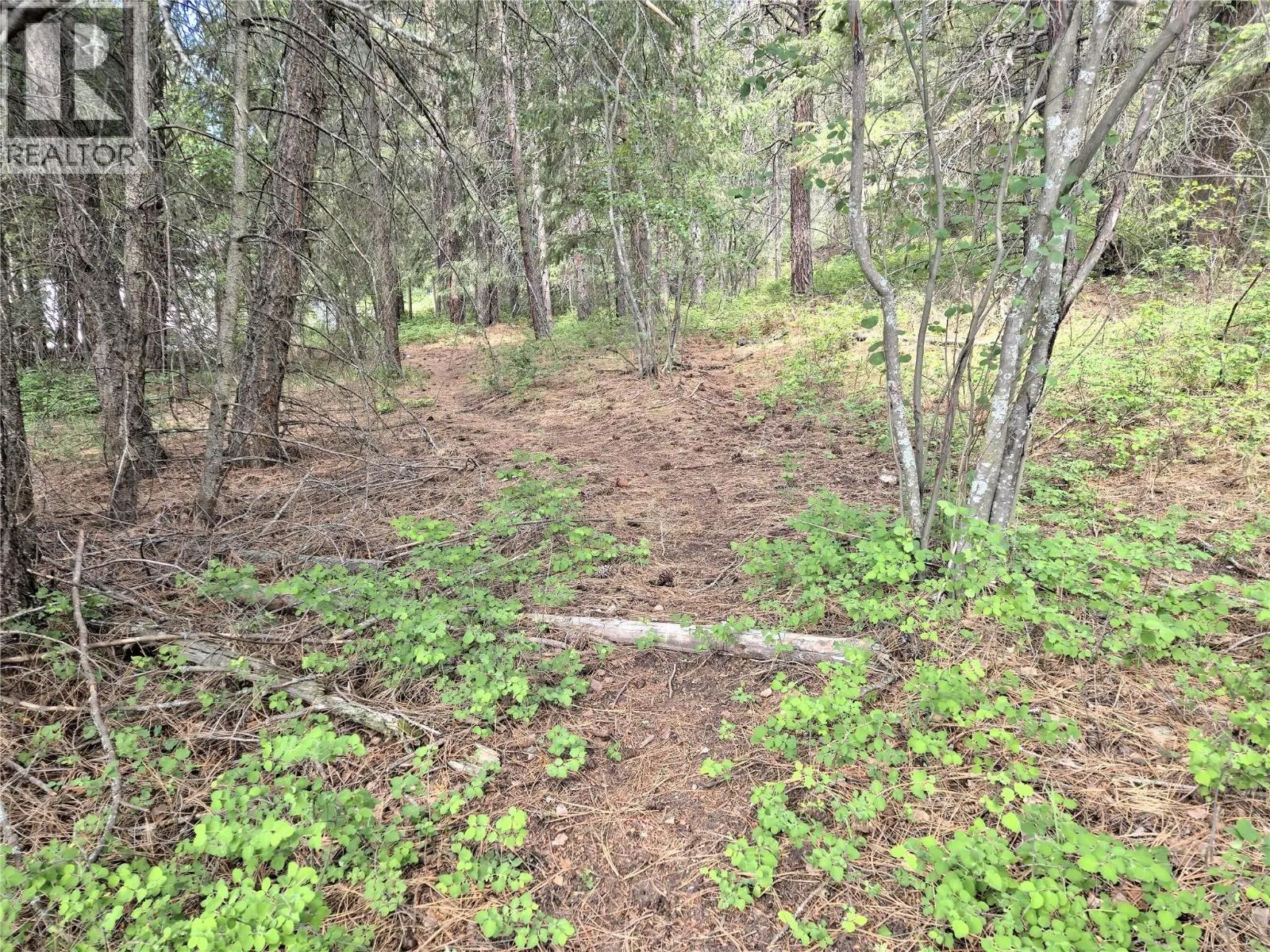 10742 Pinecrest Road Lot# 85