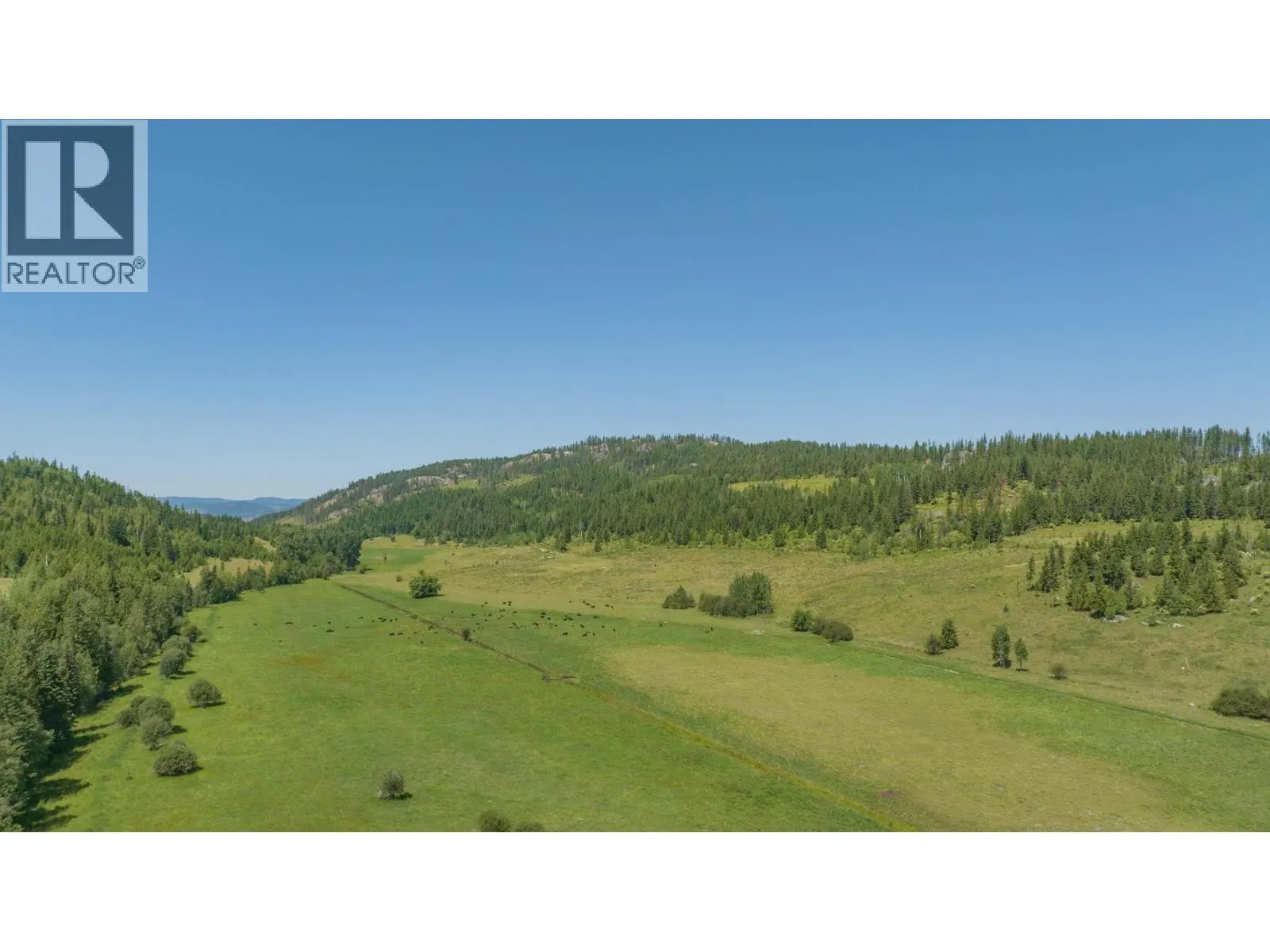 592 Bear Valley Road
