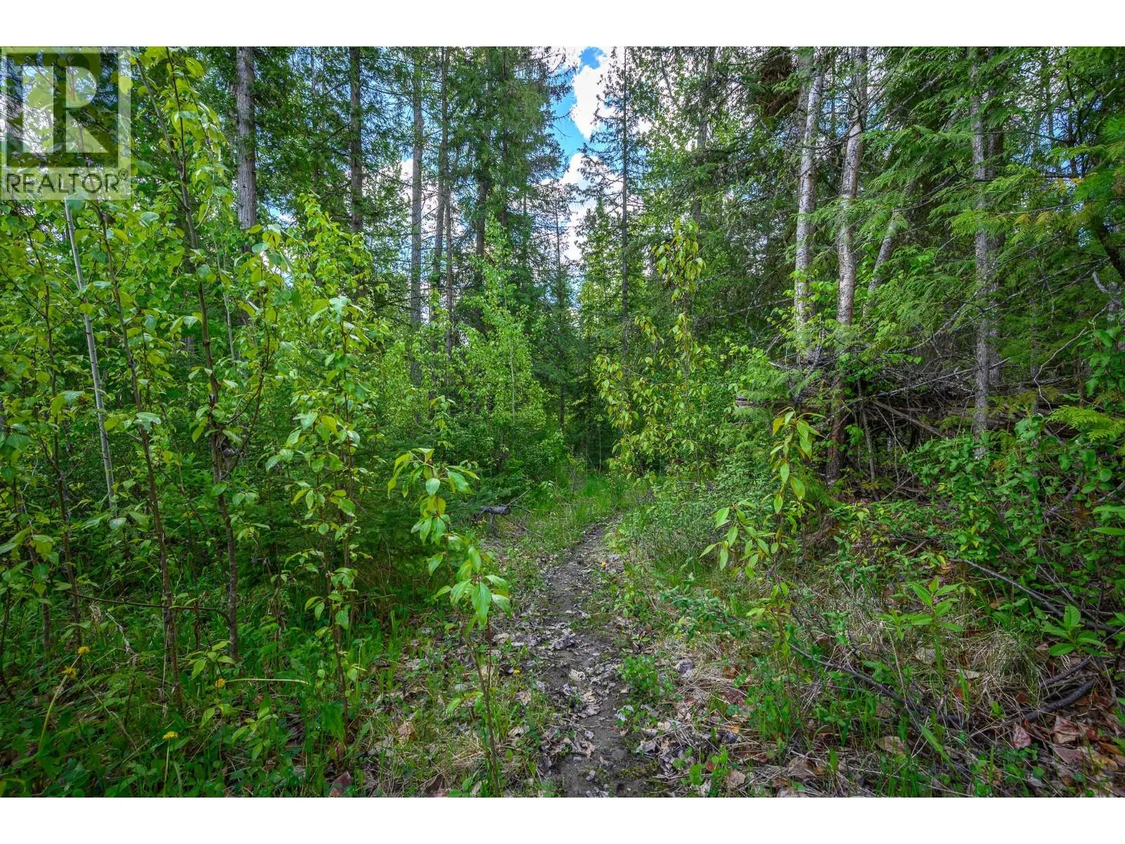 8290 Lincoln Road