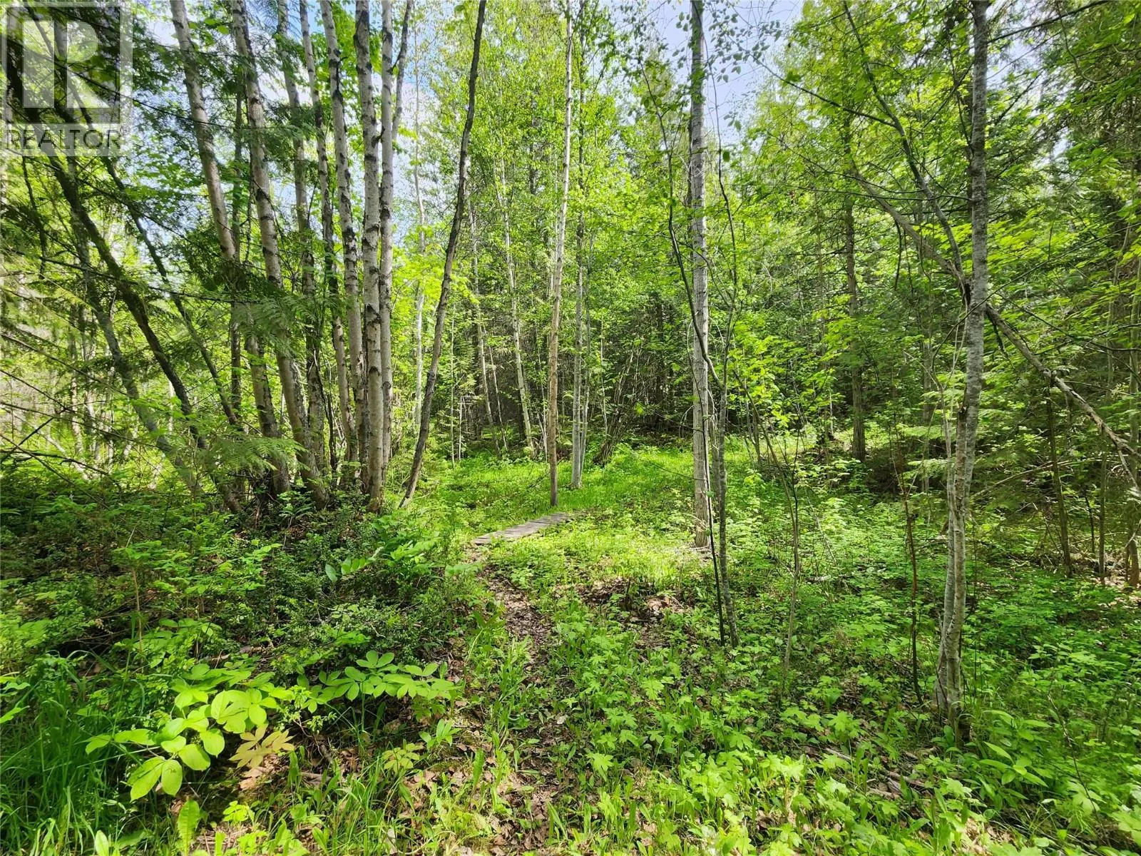 Grange Road Lot# 4