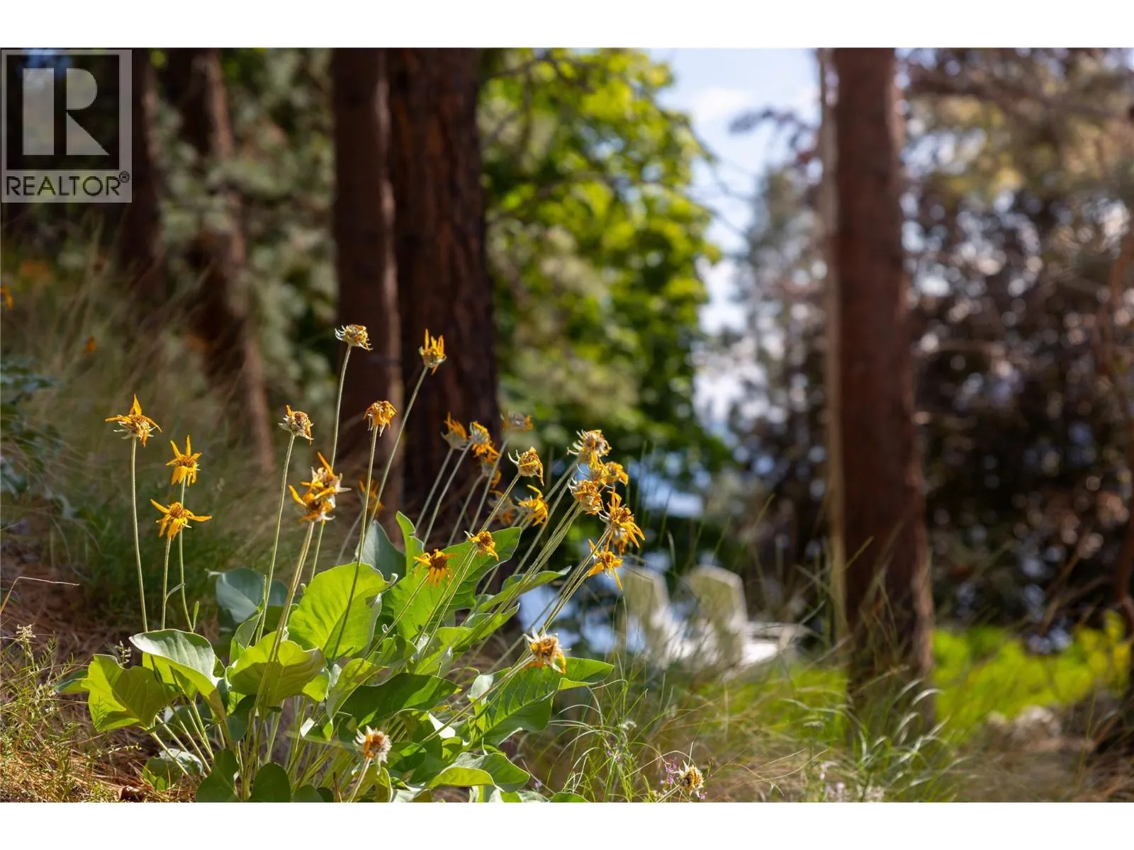 Lot A Okanagan Centre Road W