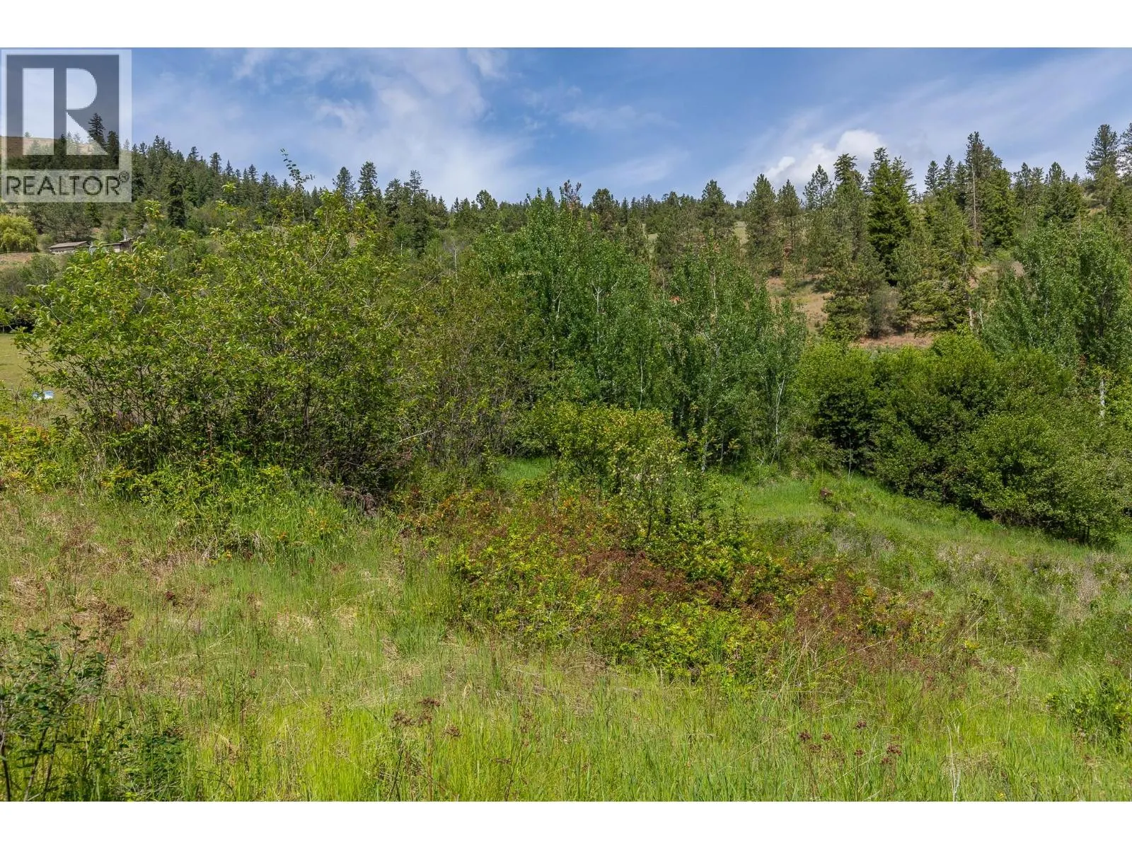 Proposed Lot B 1212 Page Road
