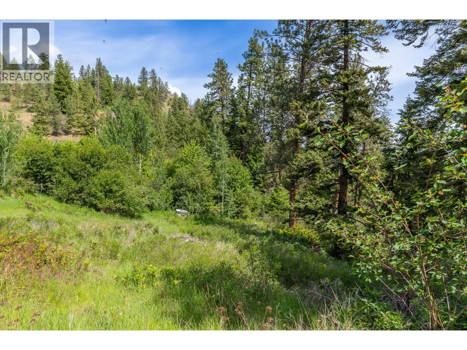 Proposed Lot B 1212 Page Road