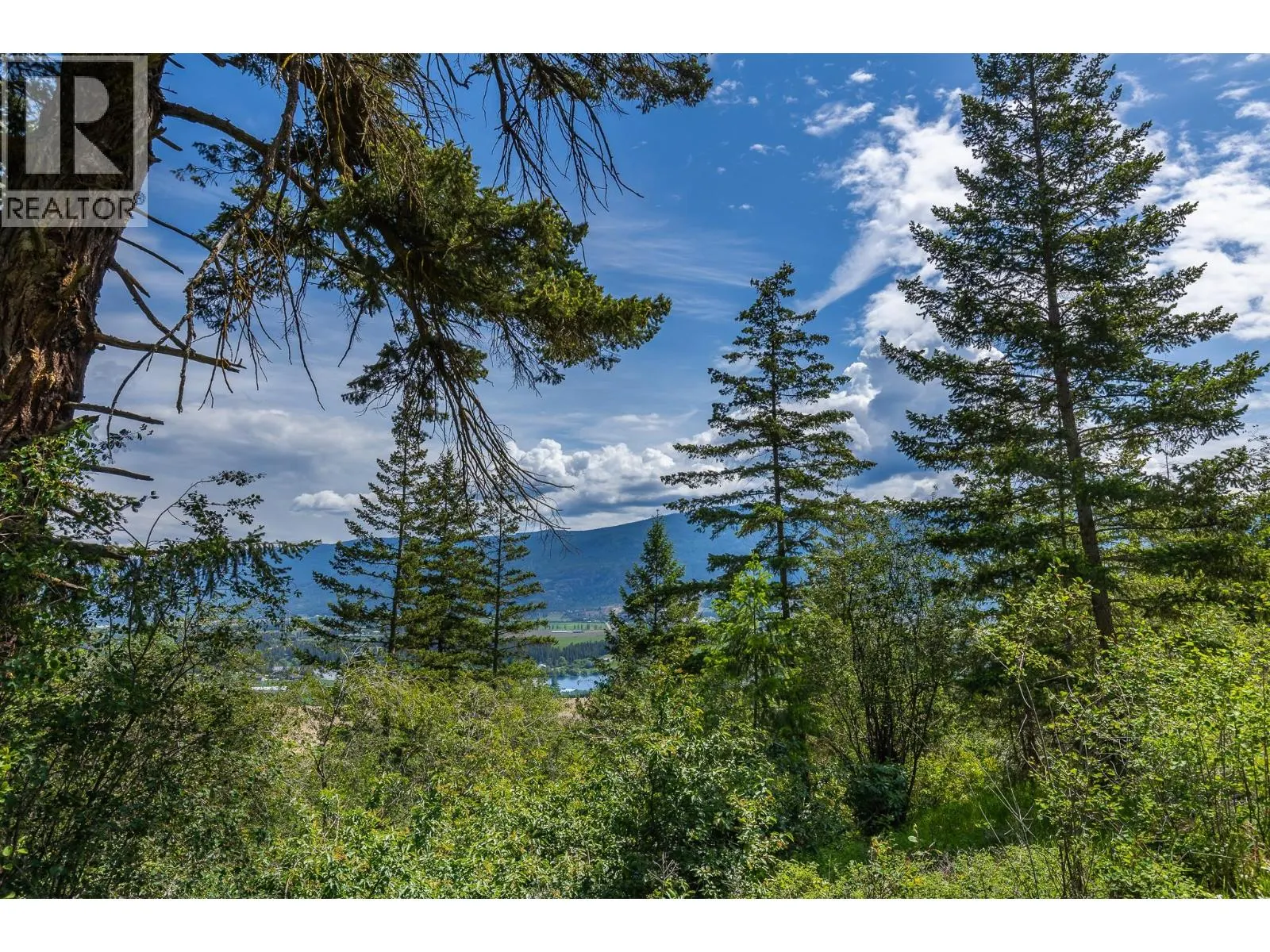 Proposed Lot B 1212 Page Road