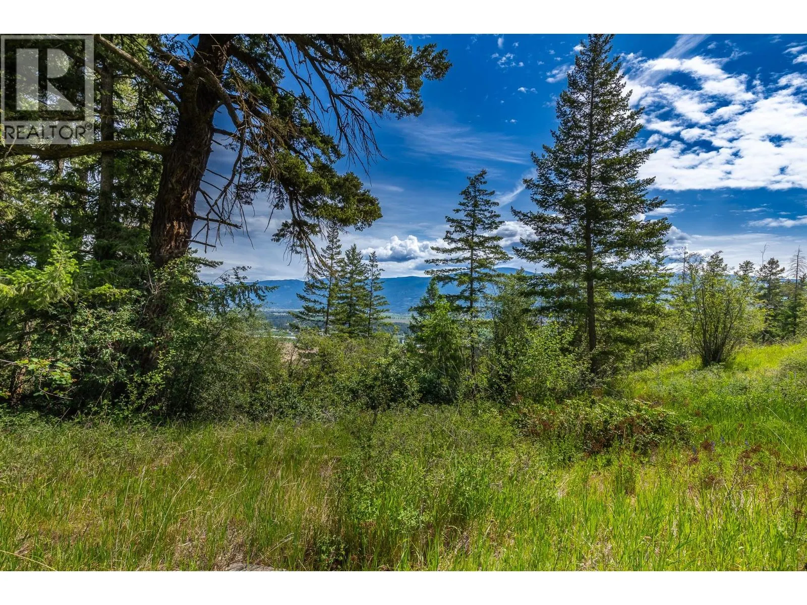 Proposed Lot B 1212 Page Road