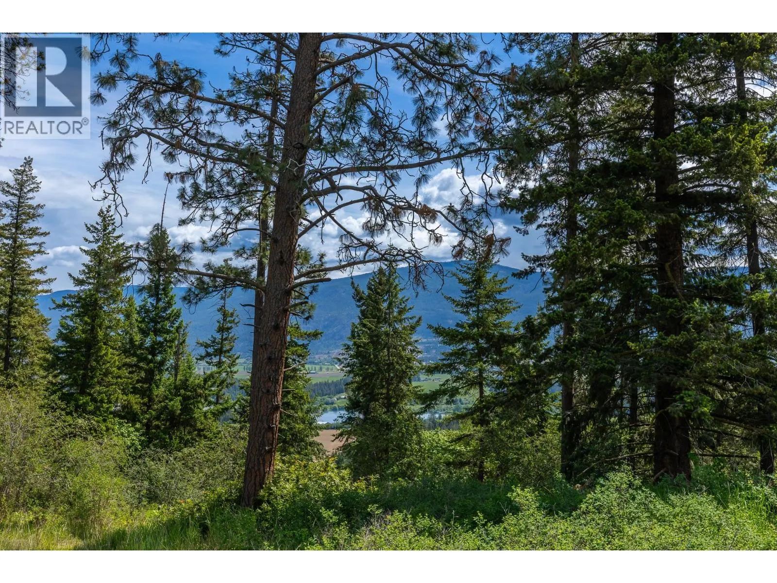 Proposed Lot B 1212 Page Road