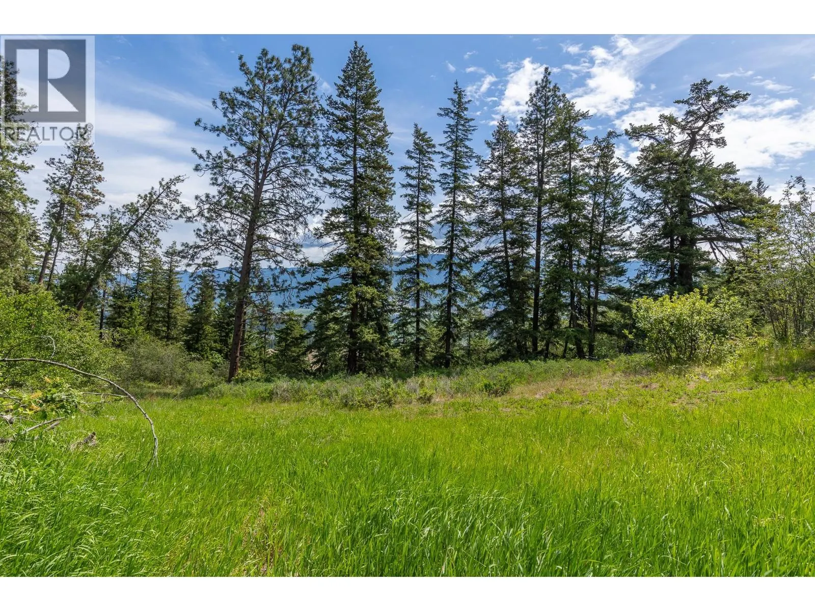 Proposed Lot B 1212 Page Road