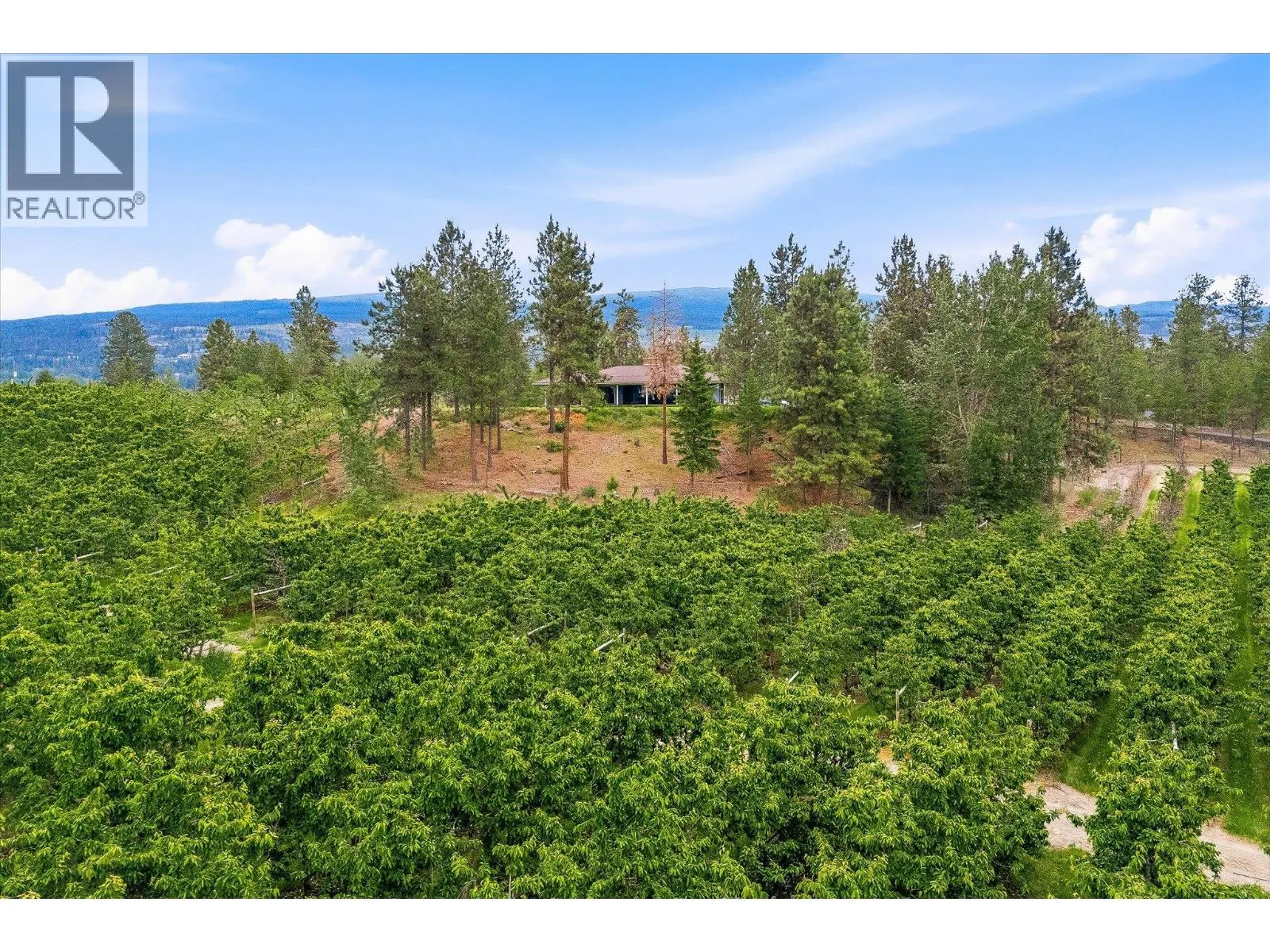 4235 Todd Road