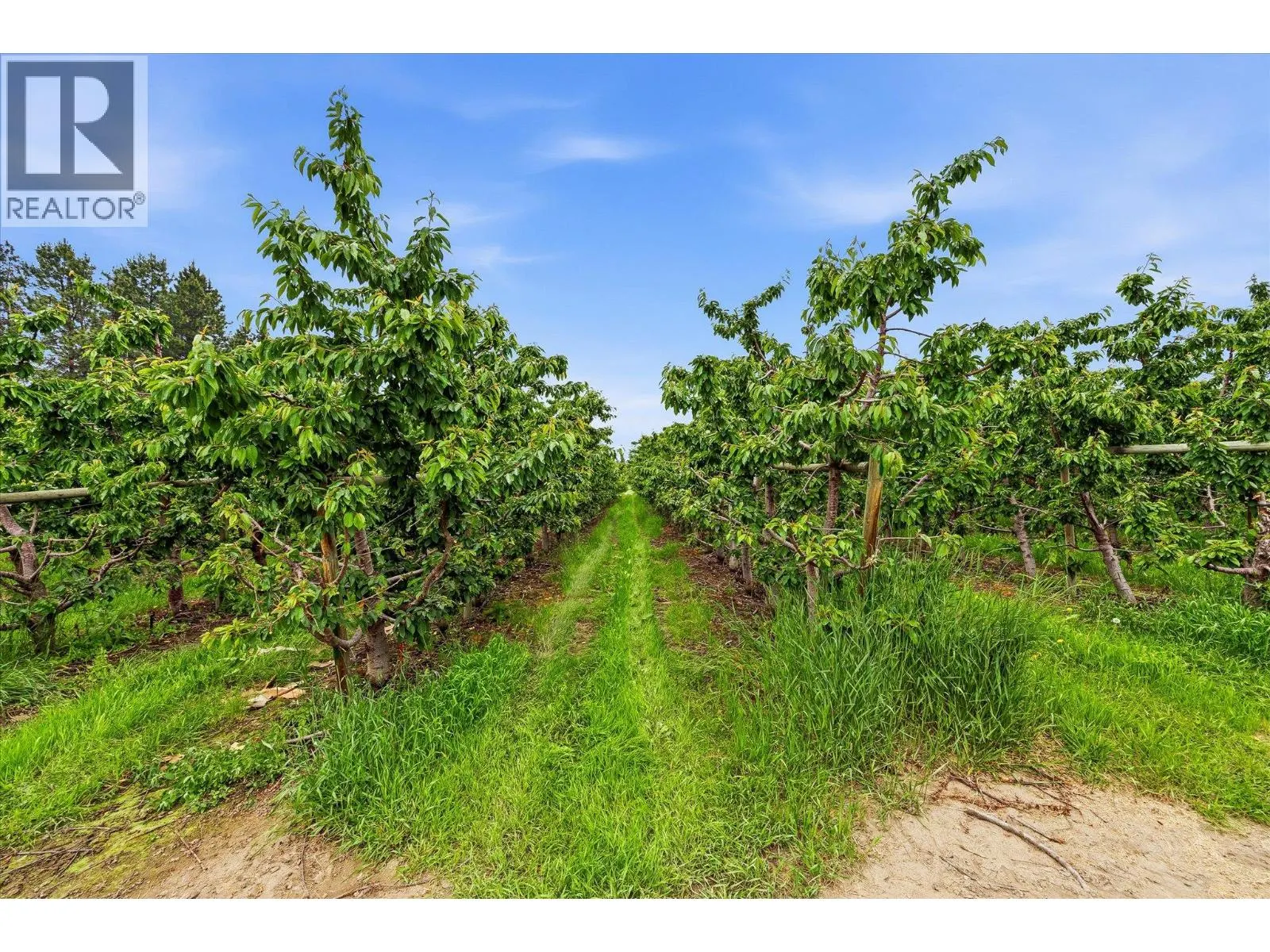 4235 Todd Road