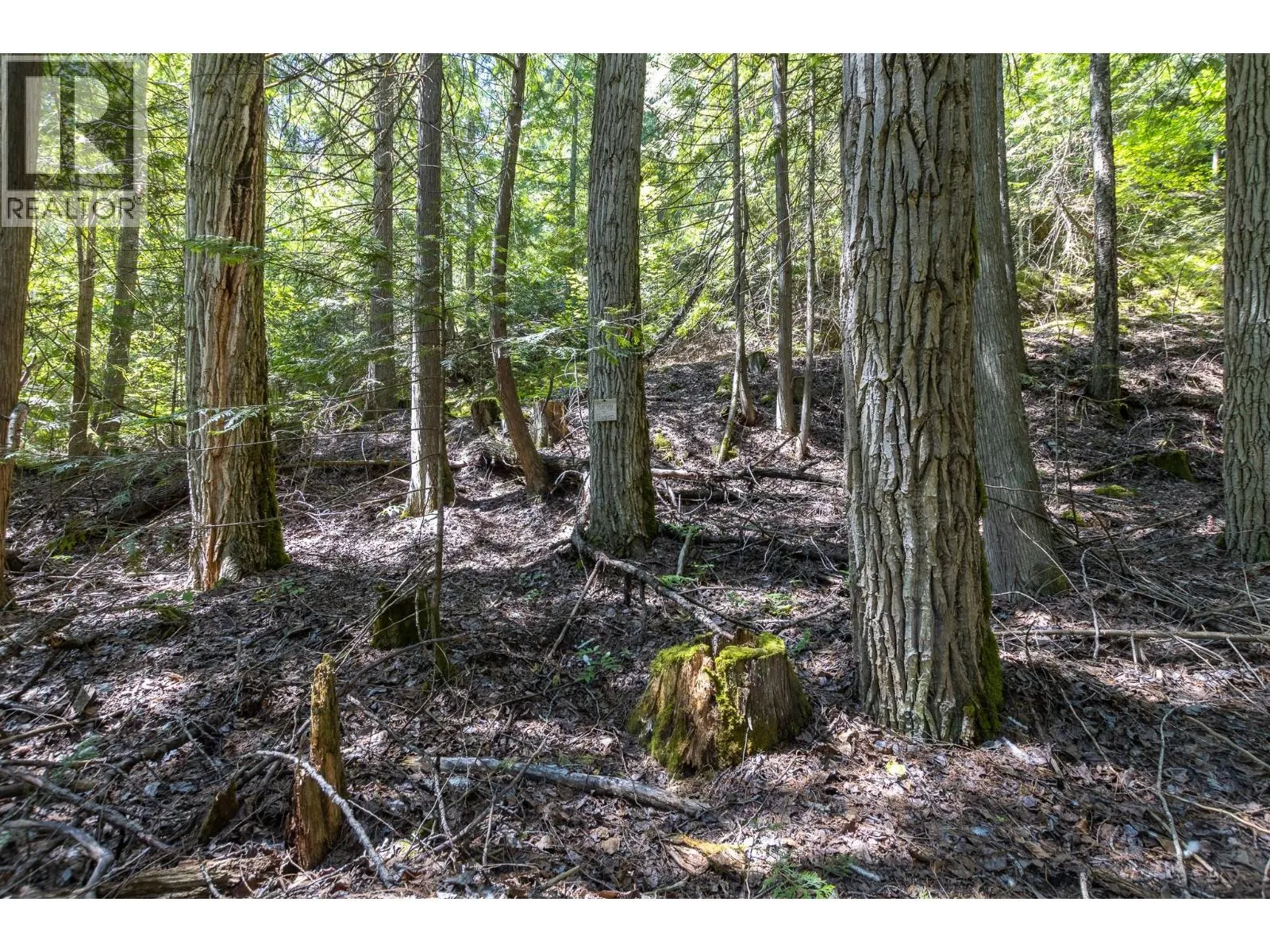 Sunnybrae Canoe Point Road Lot# 2