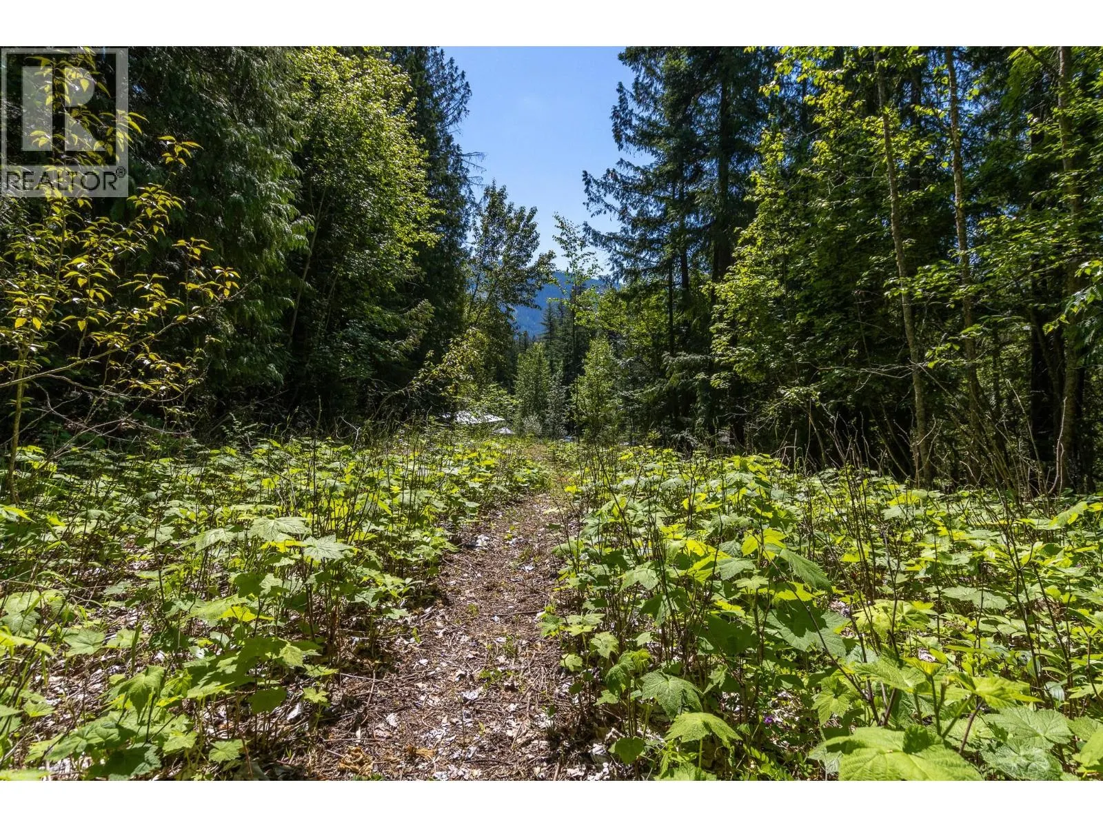 Sunnybrae Canoe Point Road Lot# 2