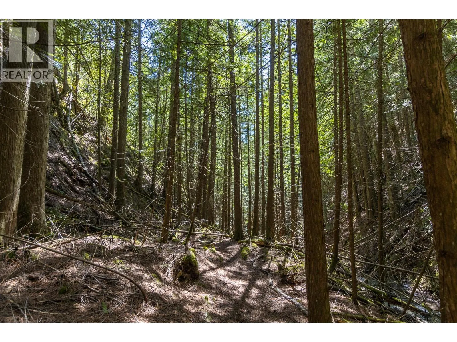 Sunnybrae Canoe Point Road Lot# 2