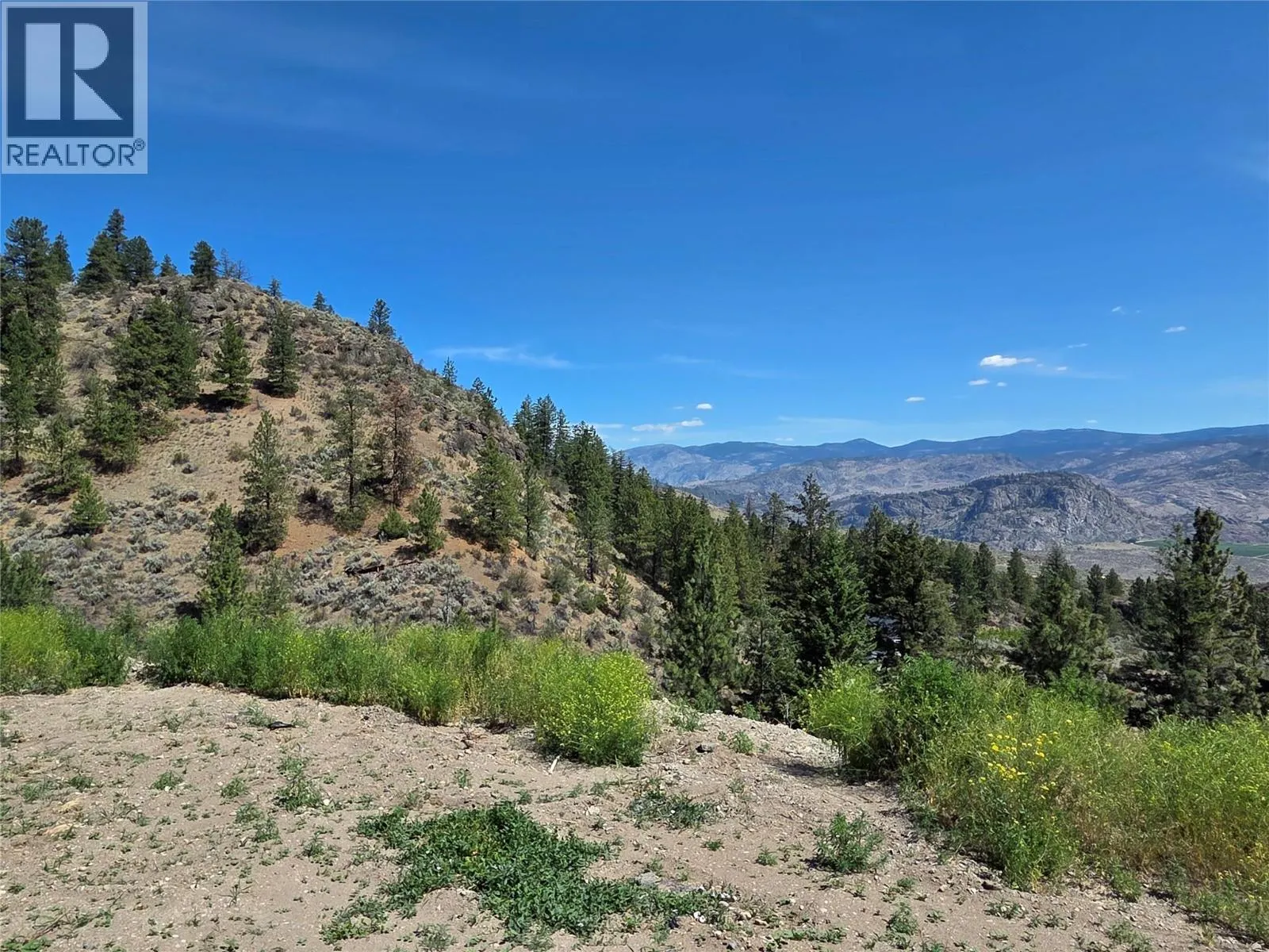 15341 Old Richter Pass Road