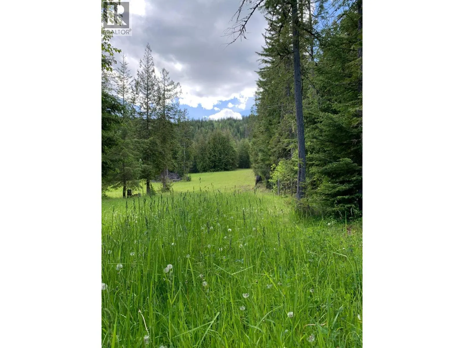 296 Trinity Valley Road