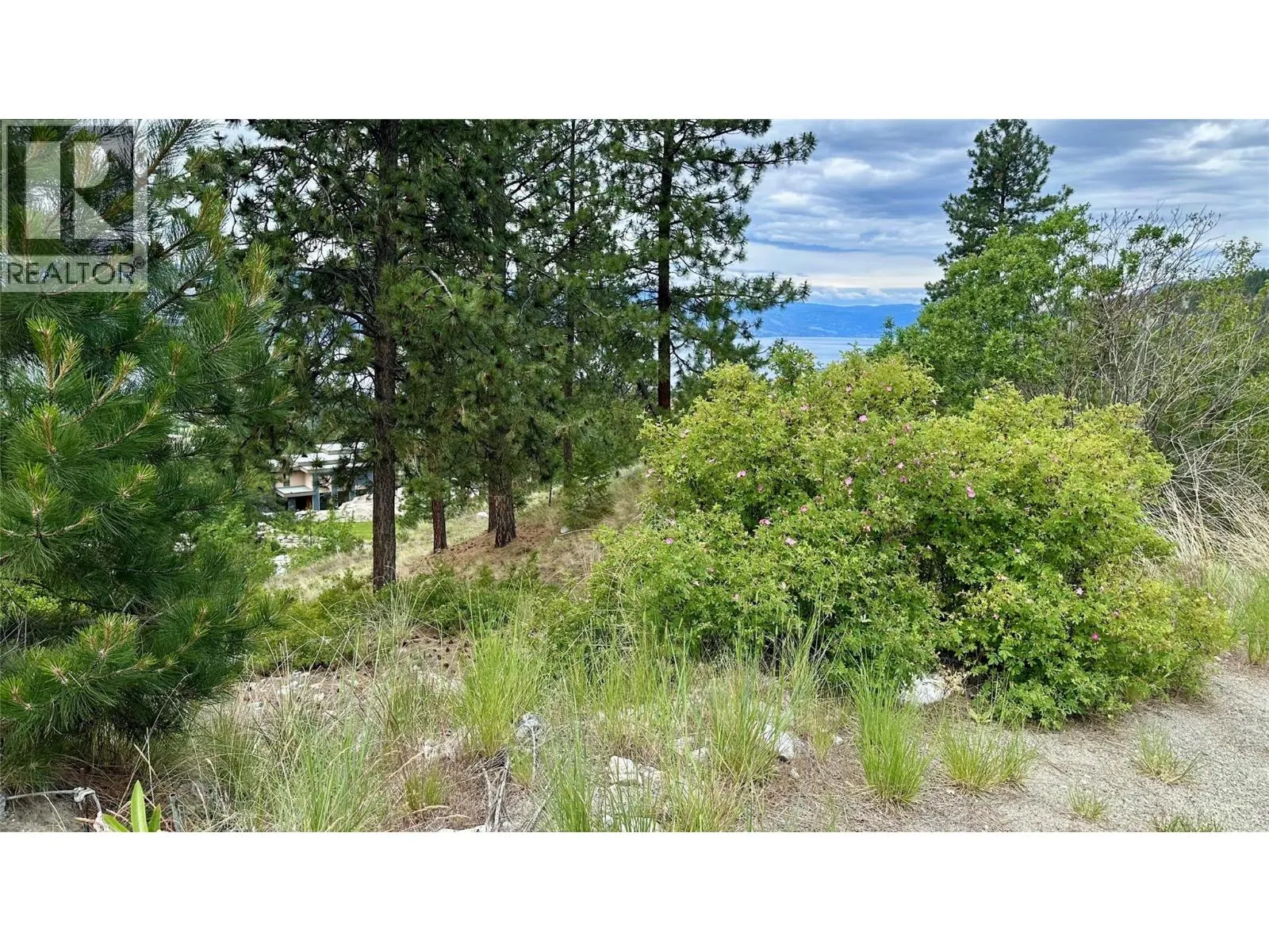 3451 Arawana Road