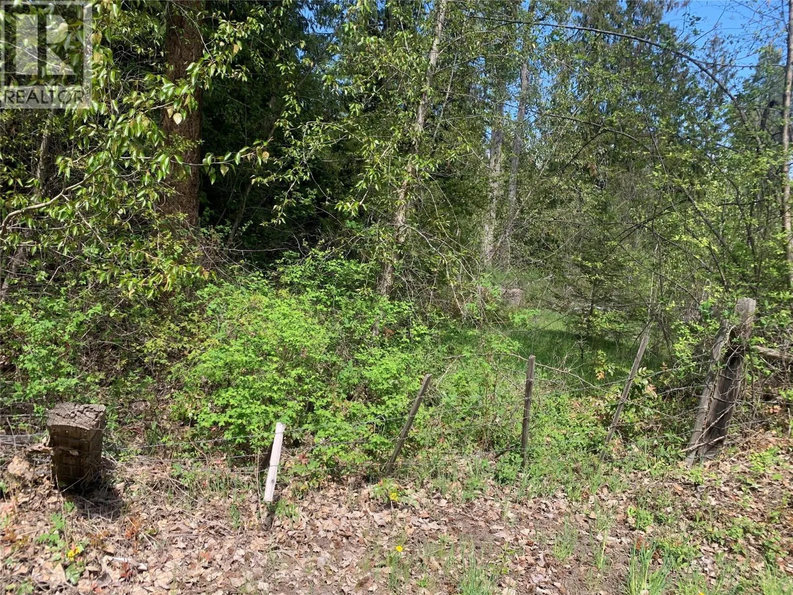 Lot A Squilax-Anglemont Road