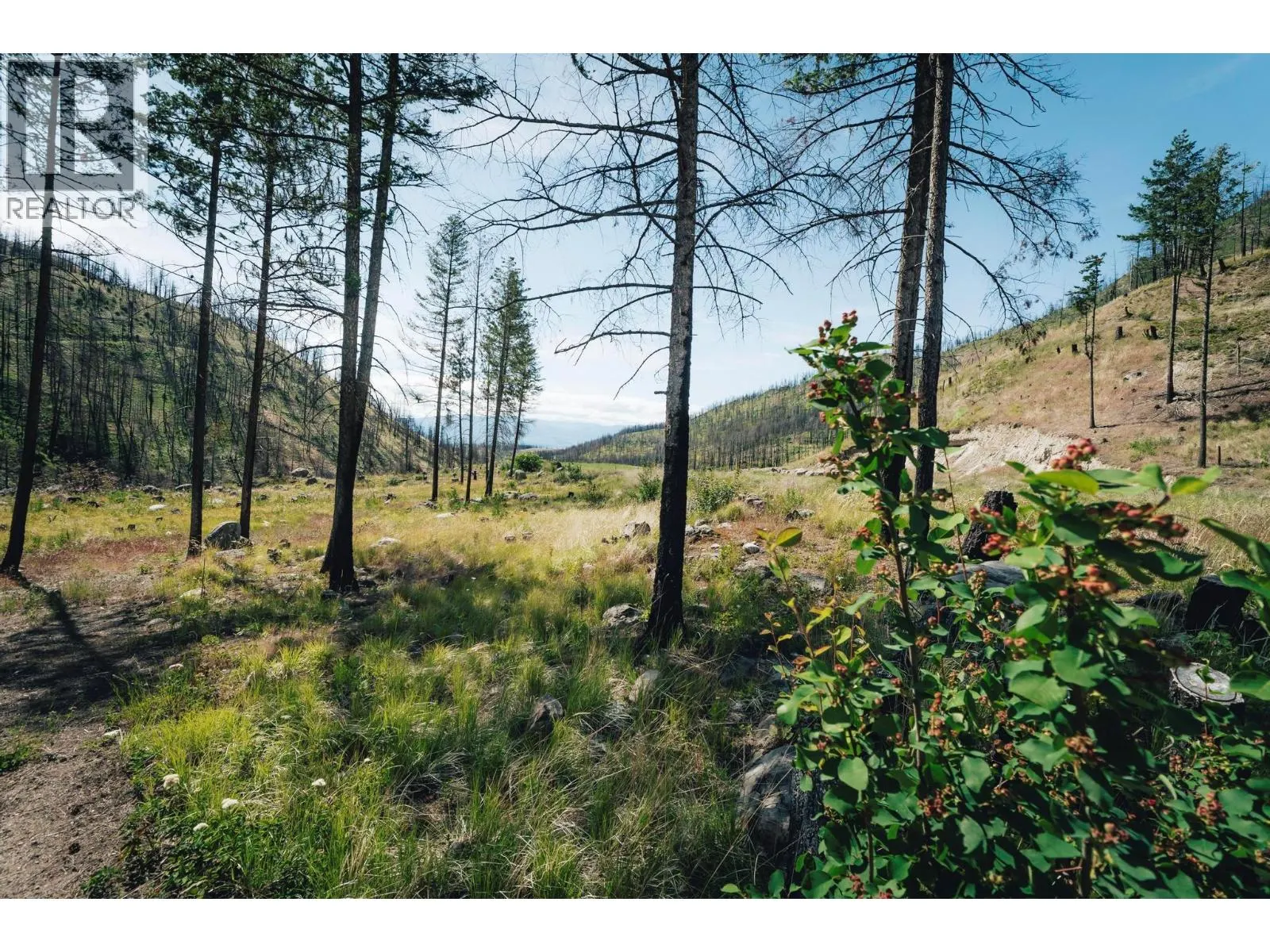 495 Bear Creek Road