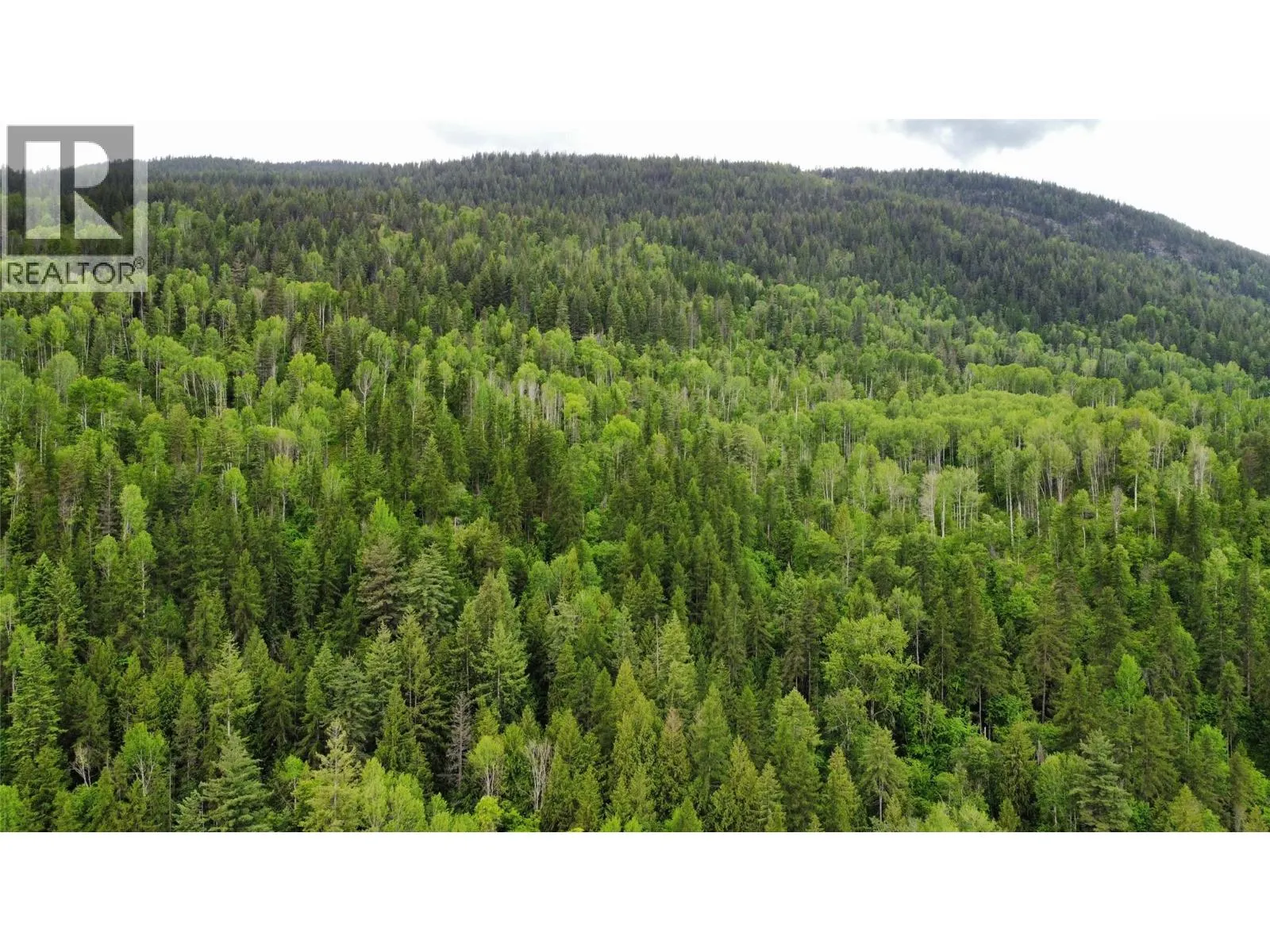 Arrow Lake 10 Lot Package Arrow Lakes Drive