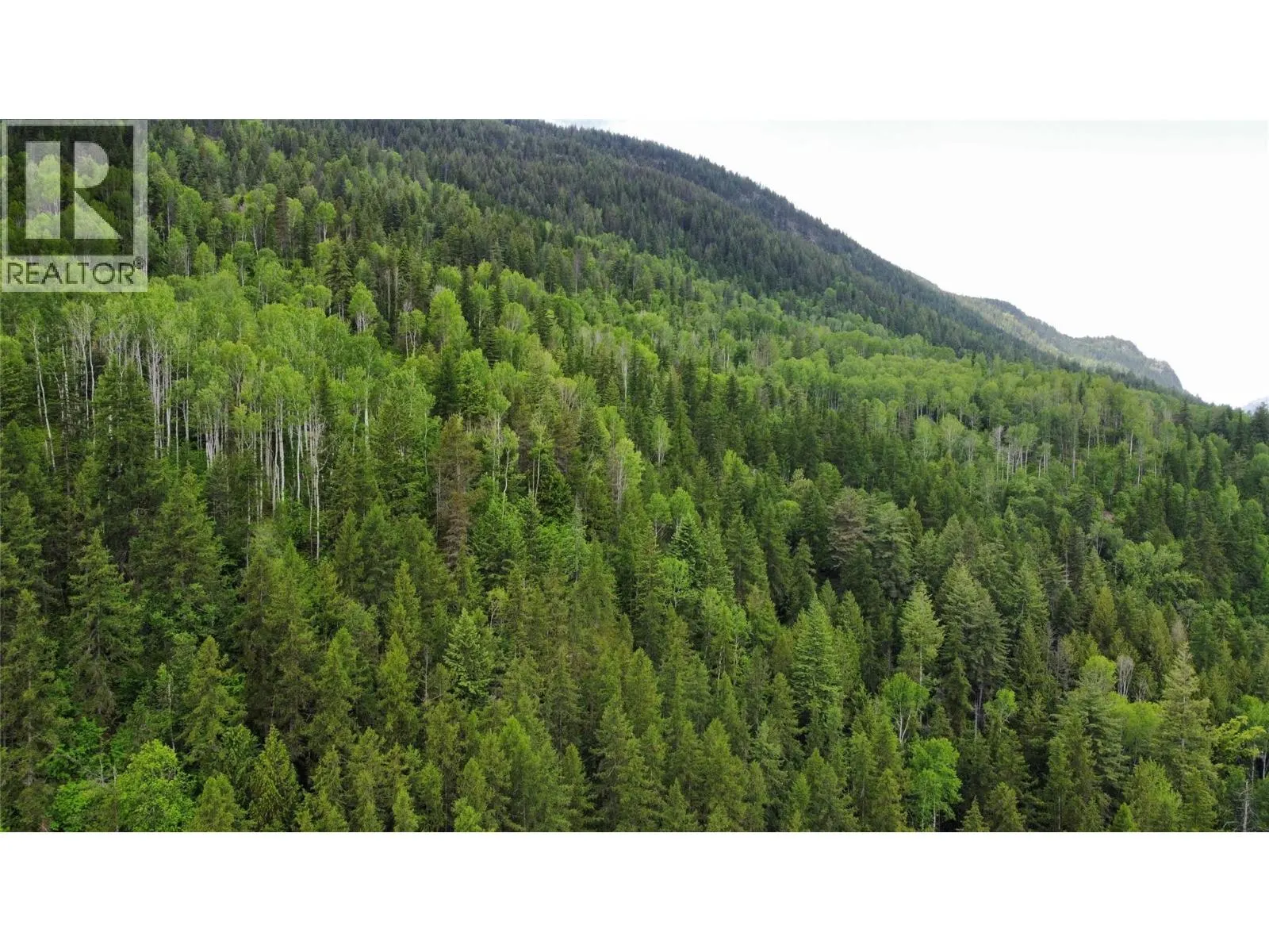 Arrow Lake 10 Lot Package Arrow Lakes Drive