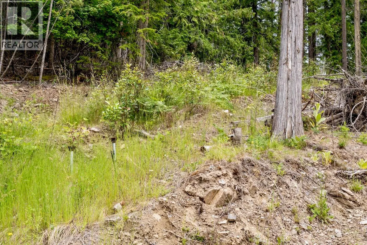 2606 Cedar Avenue Lot# 88