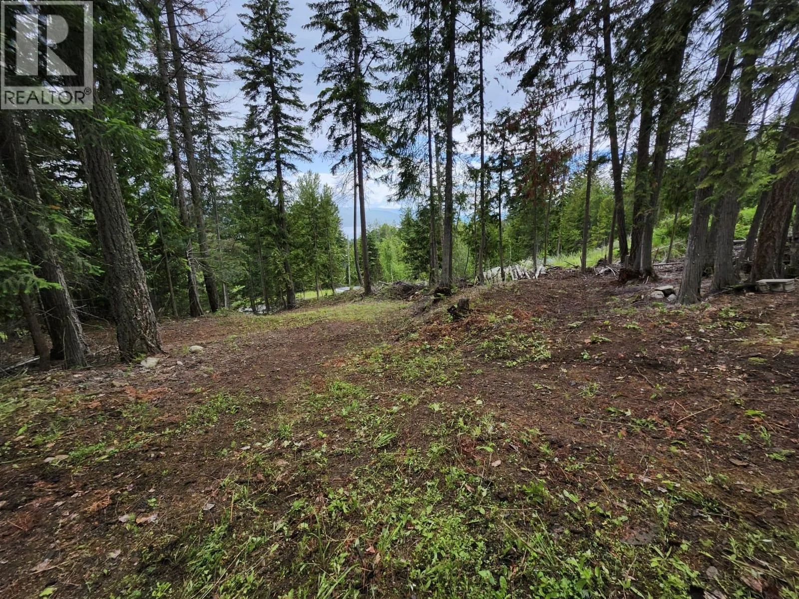 Aspen Road Lot# 331