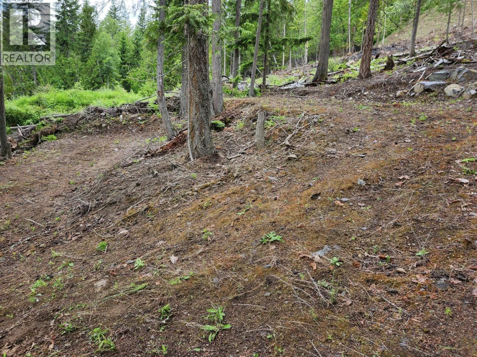 Aspen Road Lot# 331